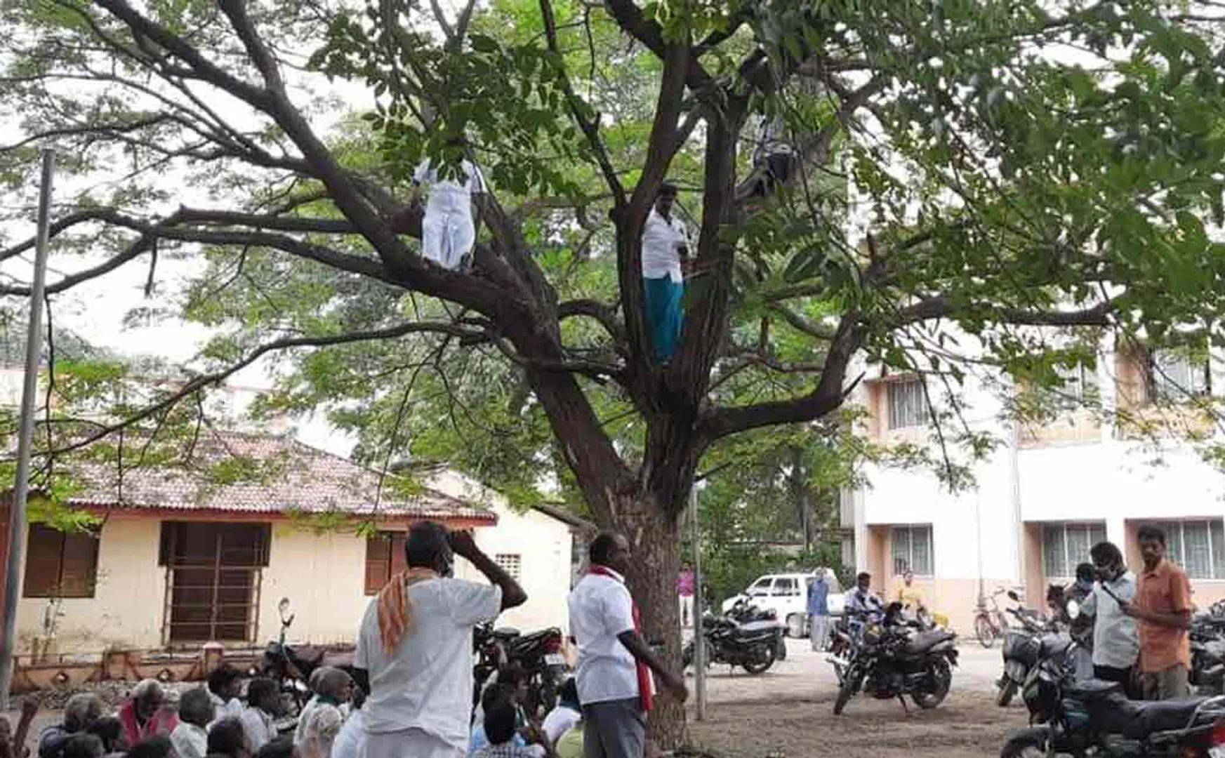 thittakudi vellington water farmers demands 