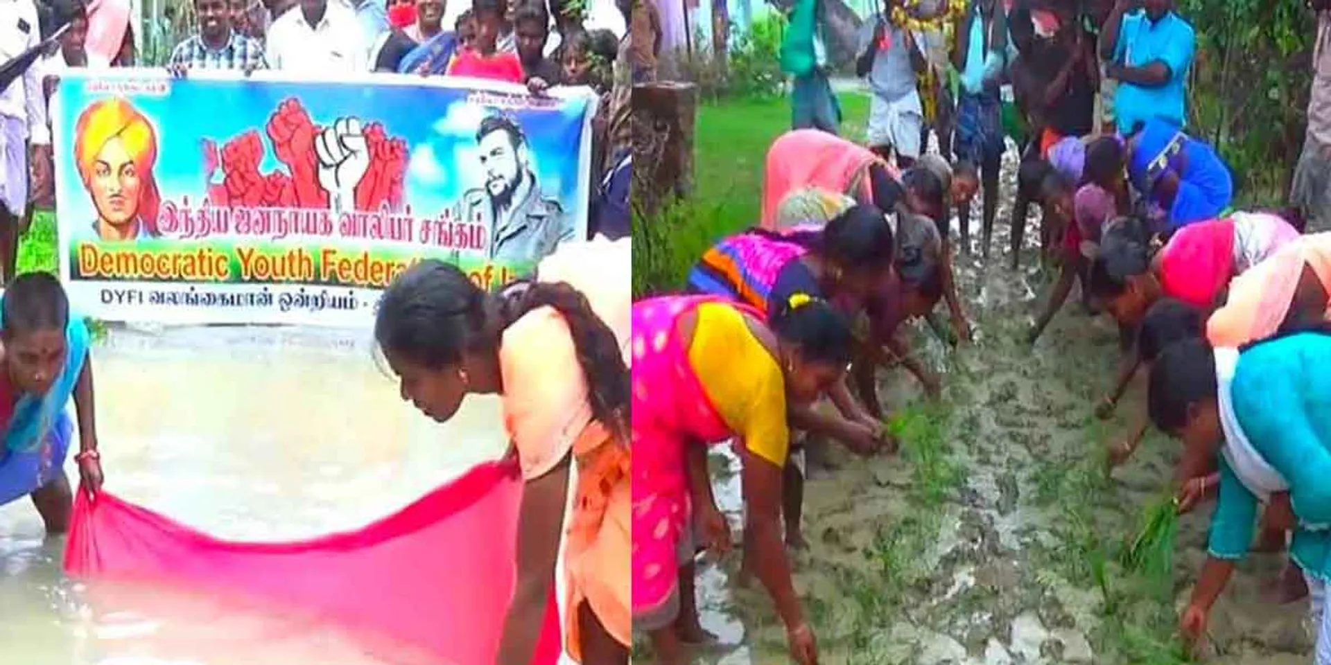 Fishing in stagnant water on the road, seedling nut struggle; Minister Kamaraj's constituency is a disgrace!