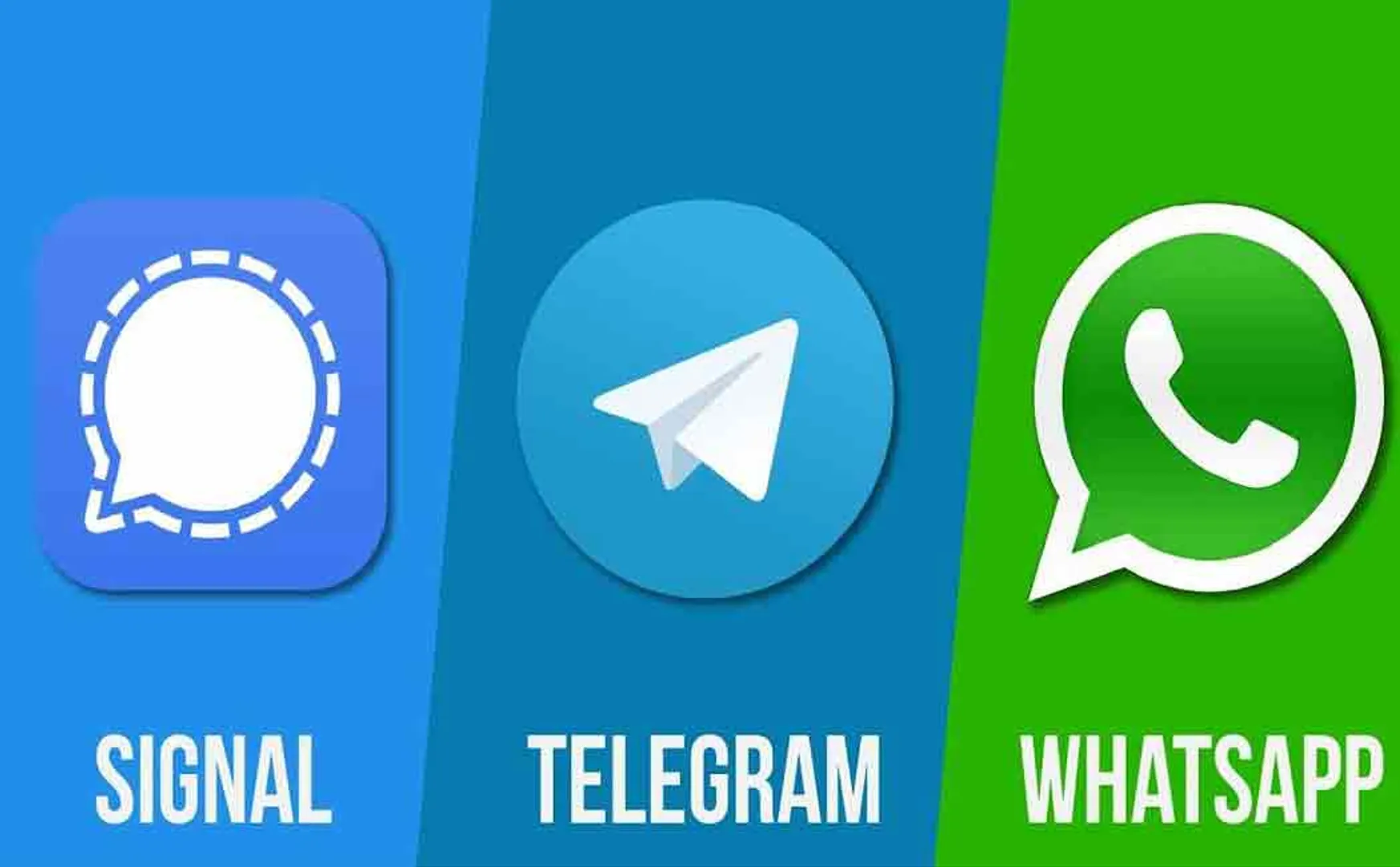 telegram or signal? which is best alternate for whatsapp