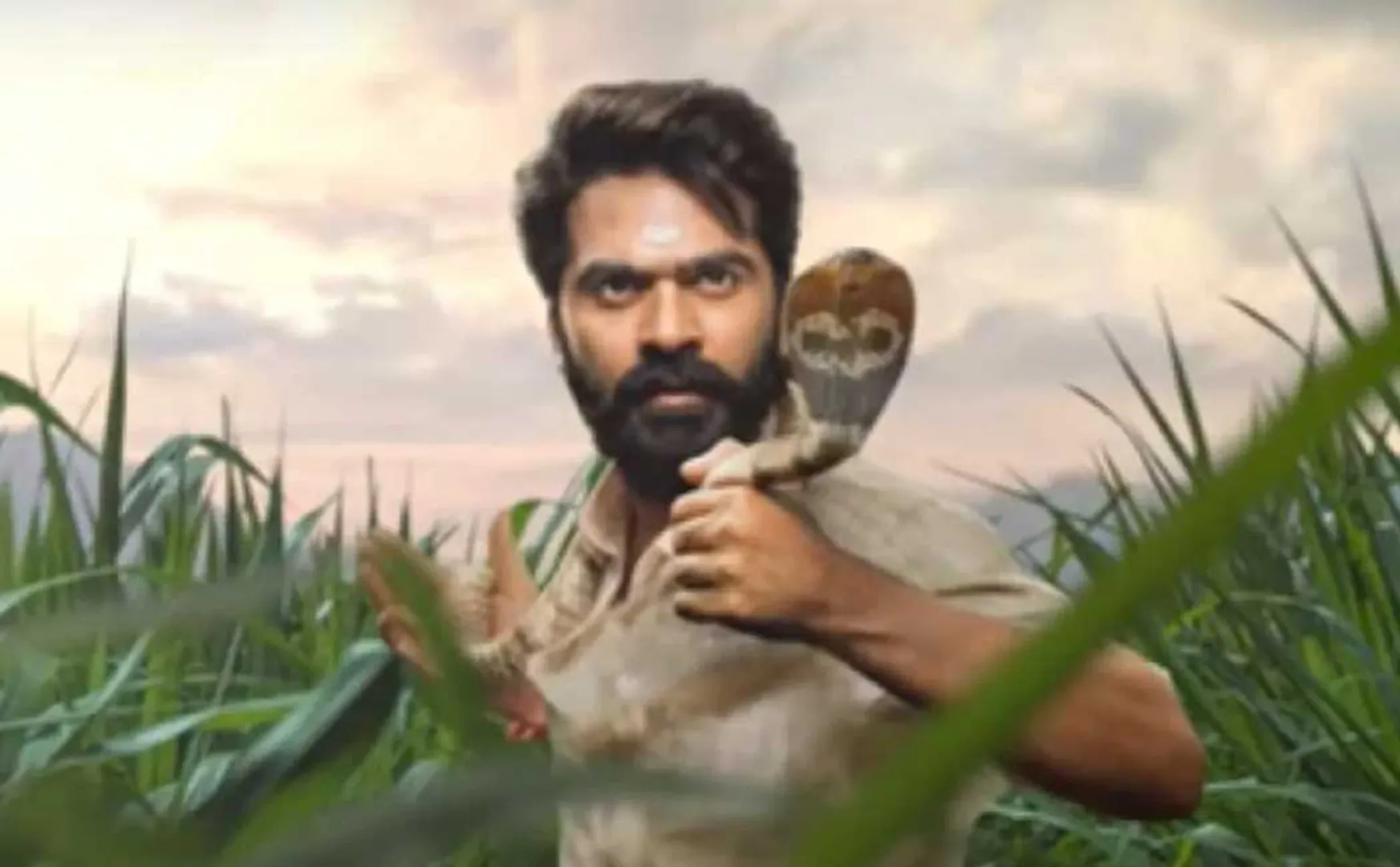 simbu 