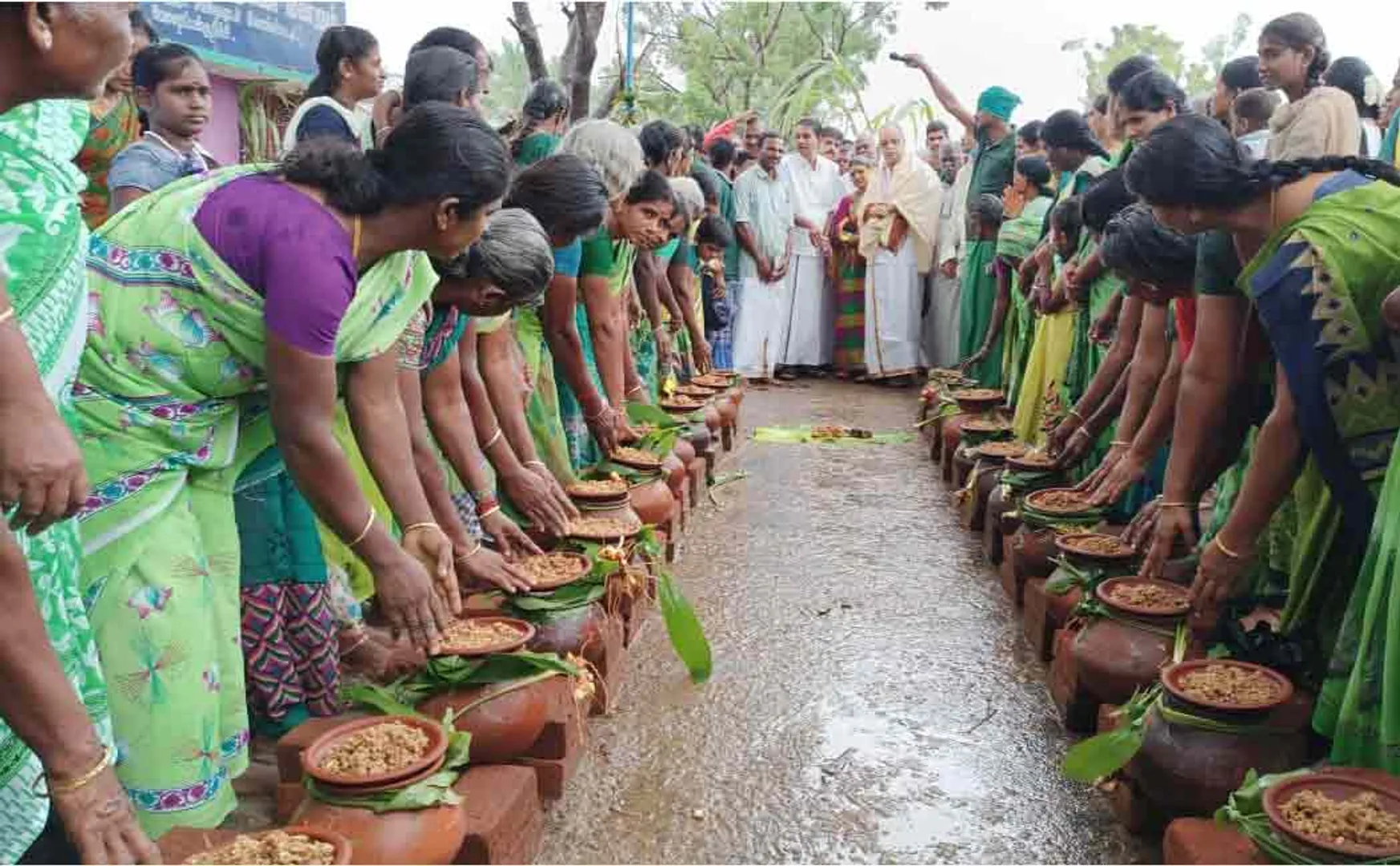 Stoveless Equality Pongal ..!