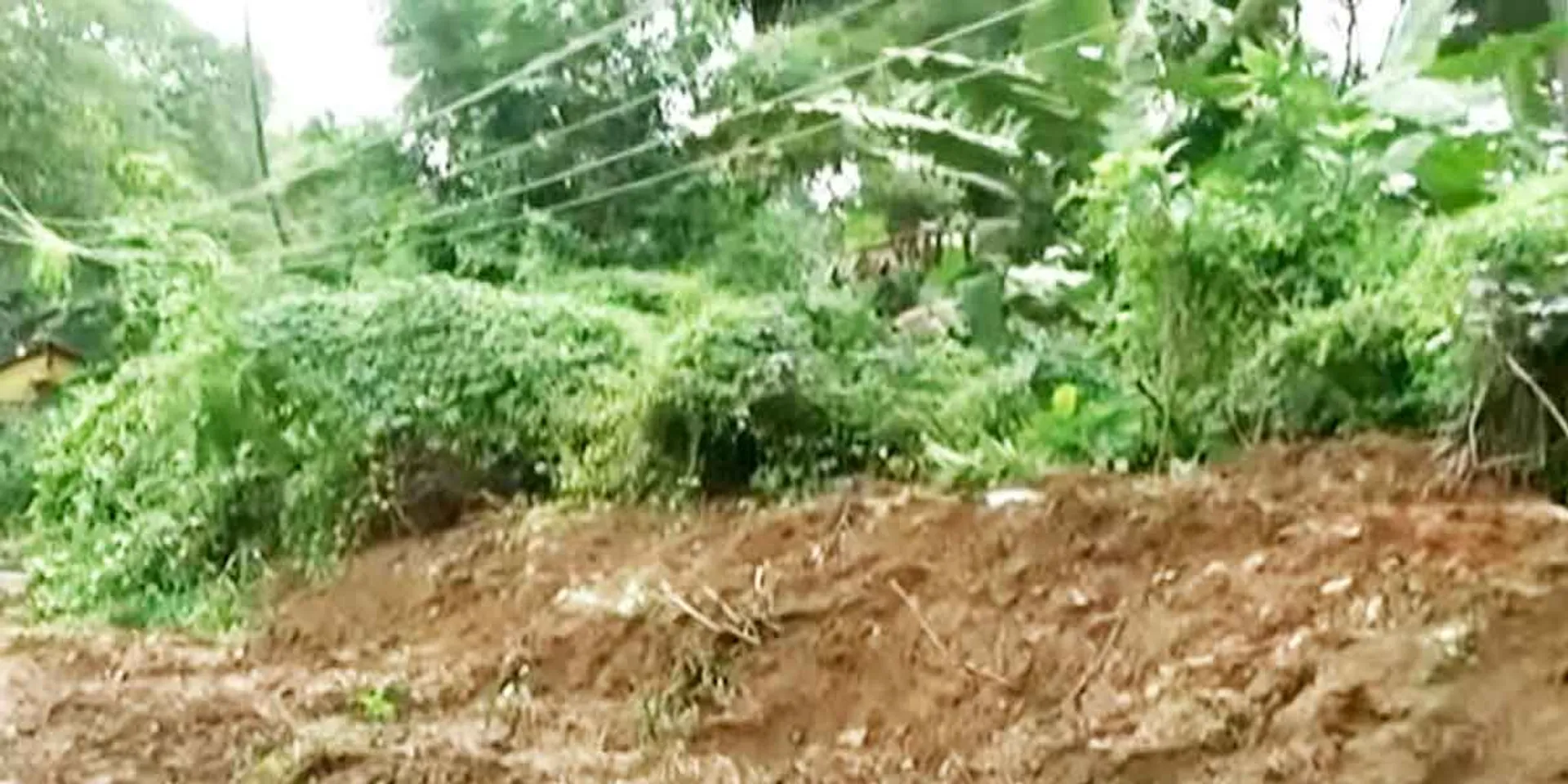  Power sector negligence ... Successive loss of life ... Government does not see!