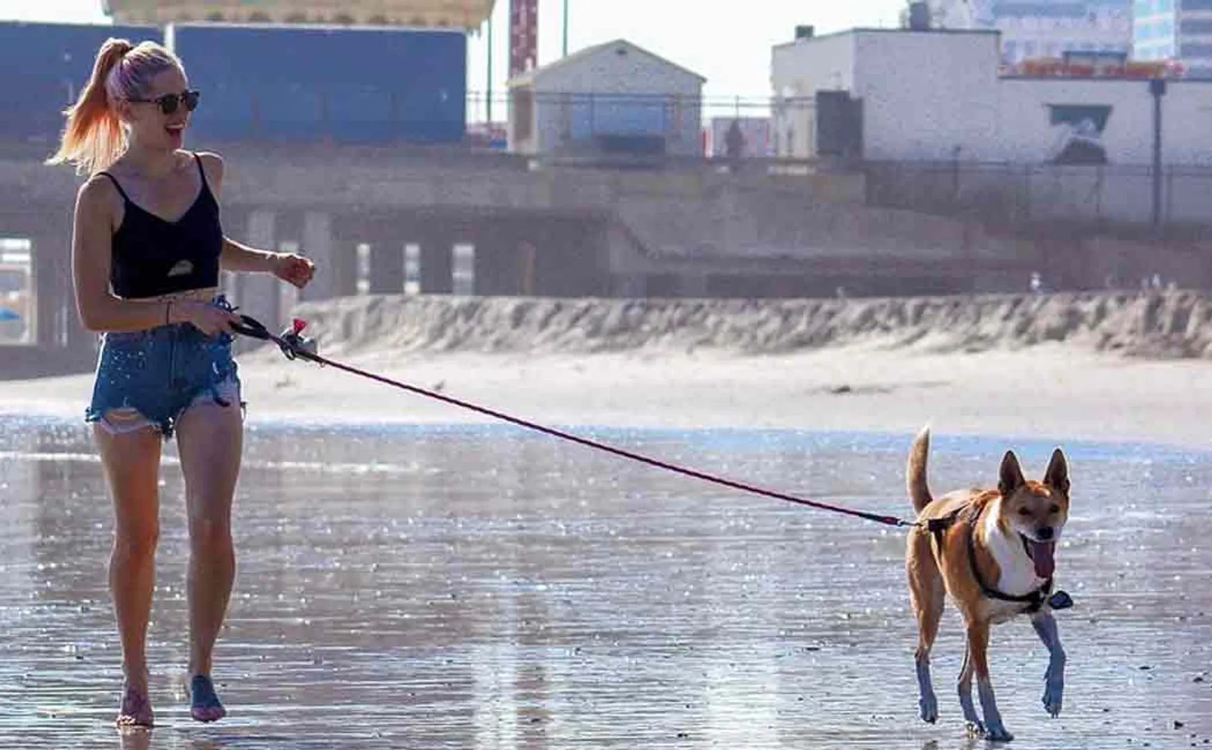 canadian woman walks on street with leash on husdand