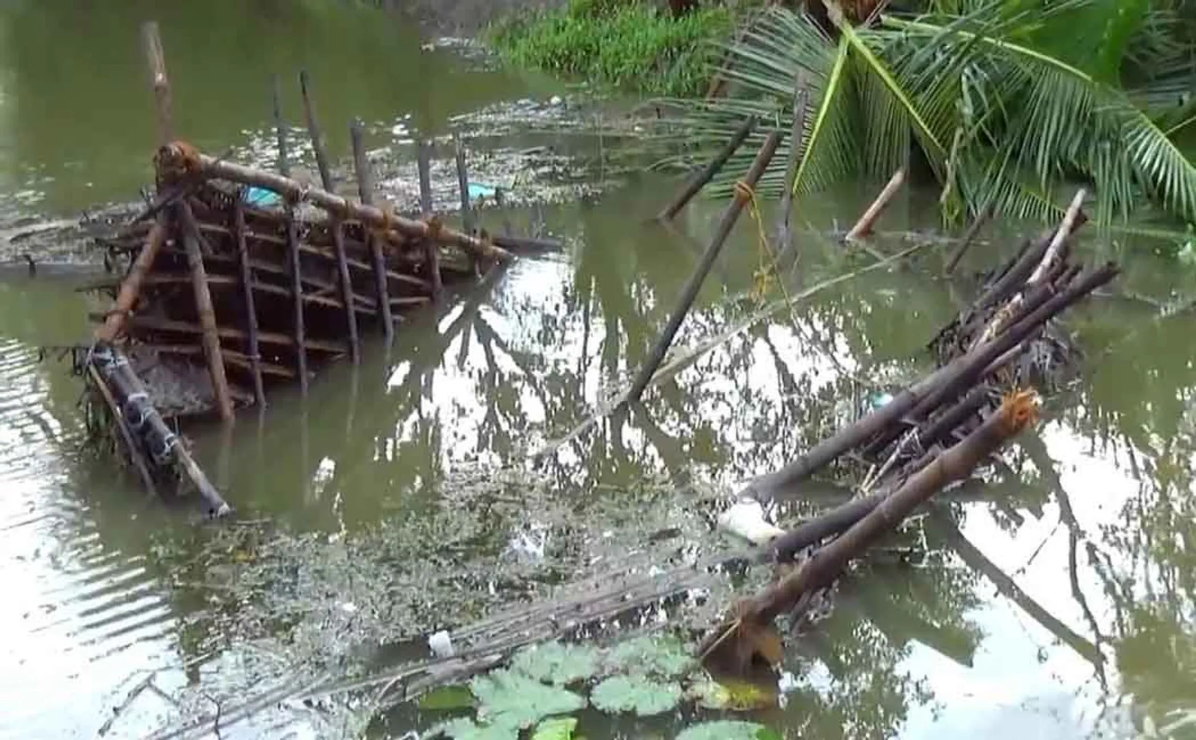 heavy rains thiruvarur district 