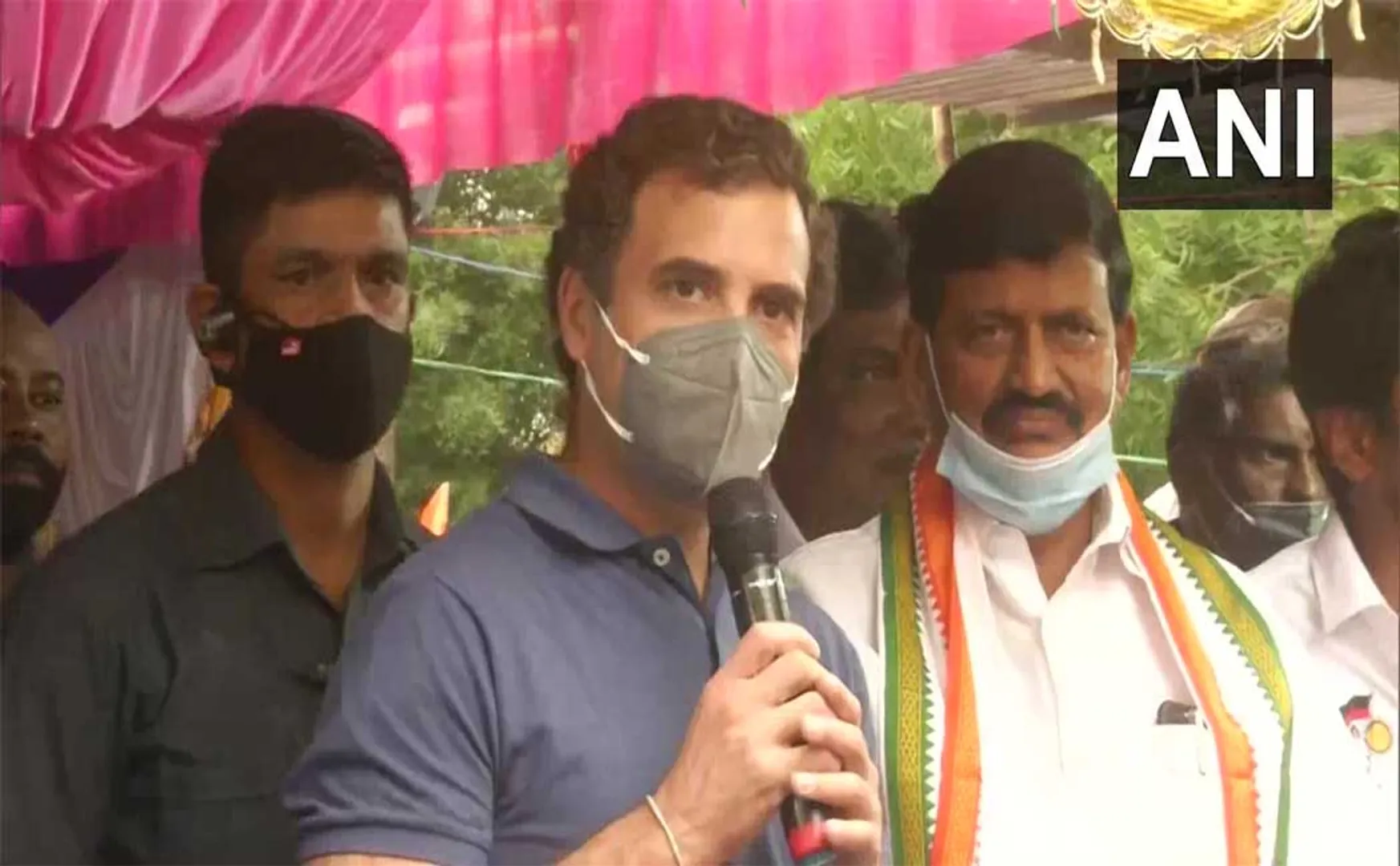 avaniyapuram jallikattu congress leader rahul gandhi speech 