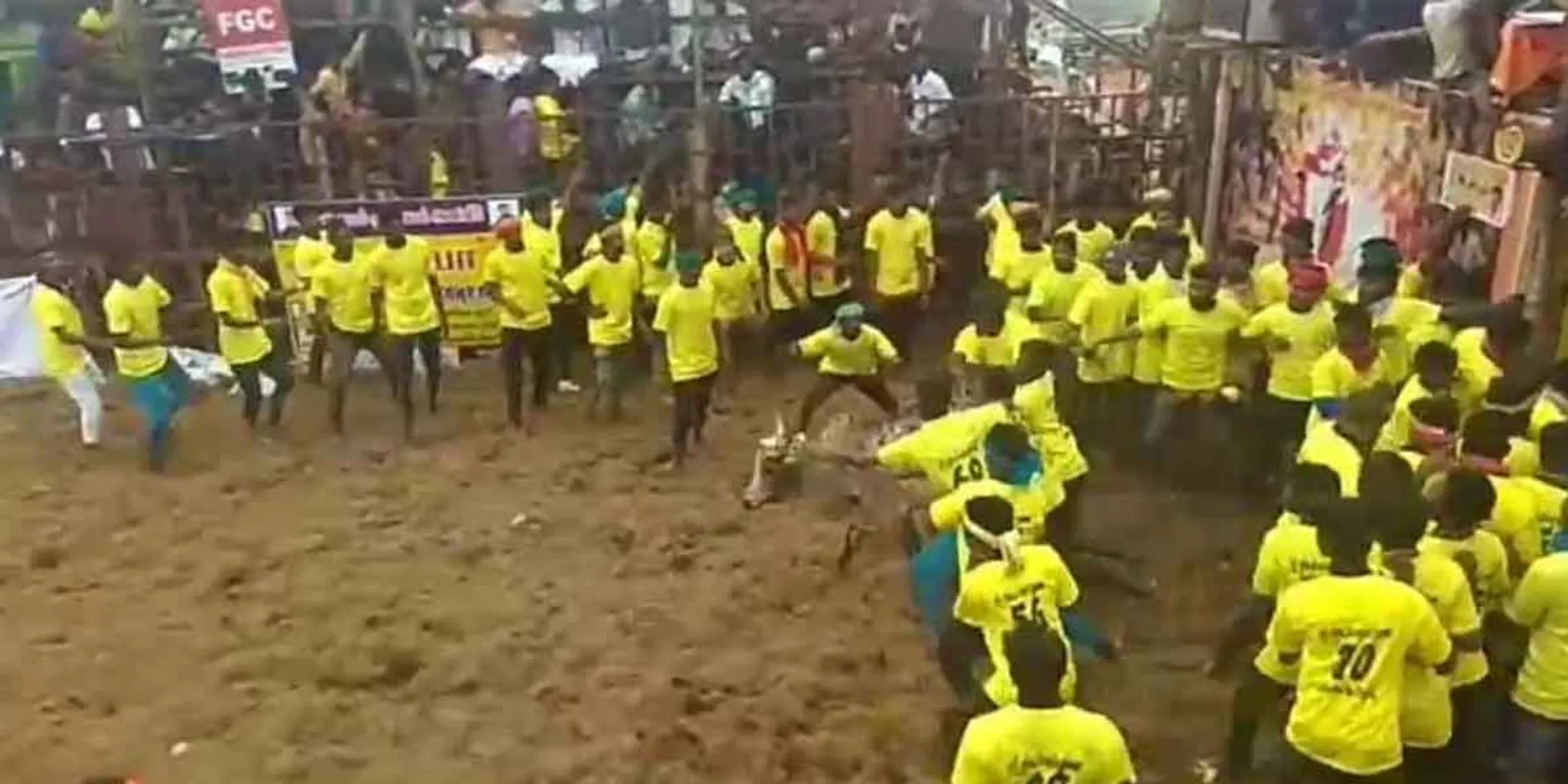 thiruchy jallikattu today start 
