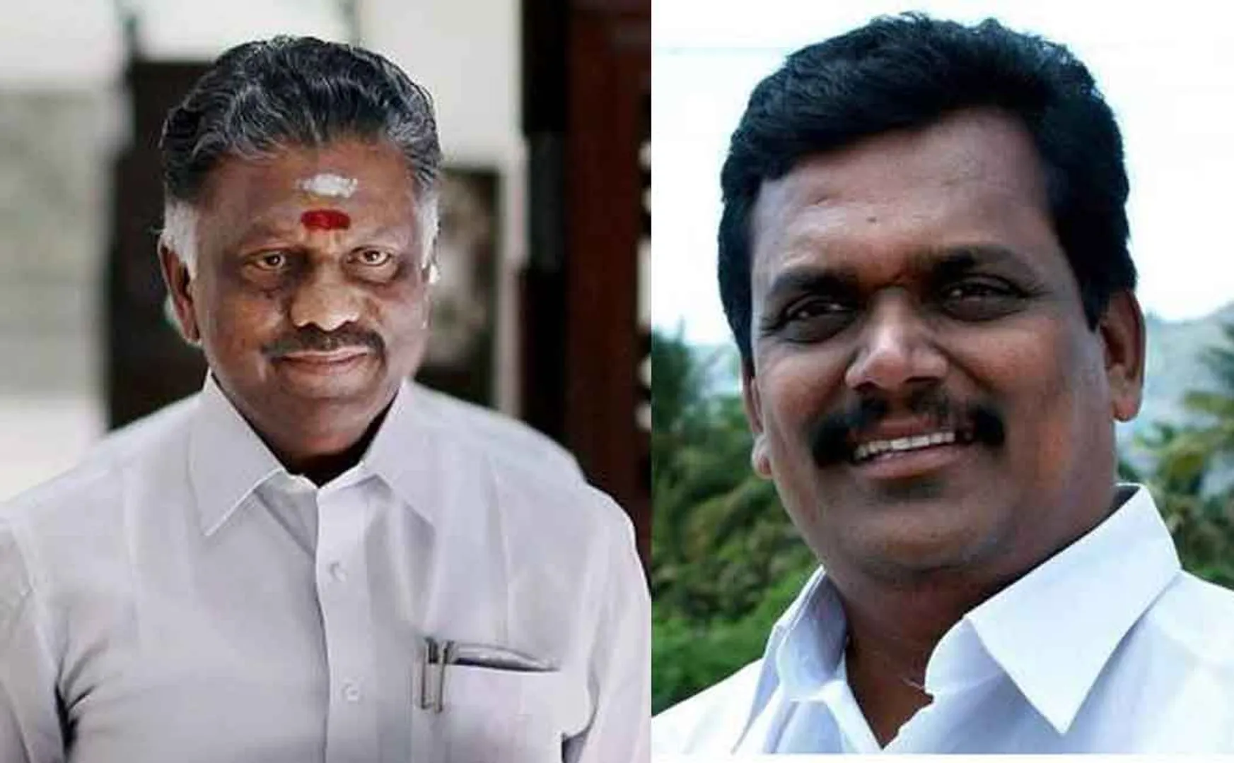 OPS son Jayapradeep  challenge Thangathamilchelvan .. 