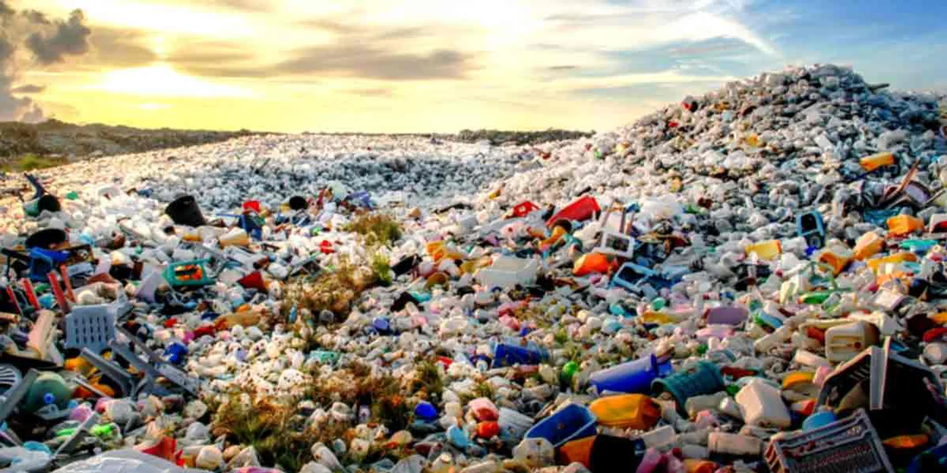  Back-lifting plastic; Lock up manufacturing companies that break the rules!
