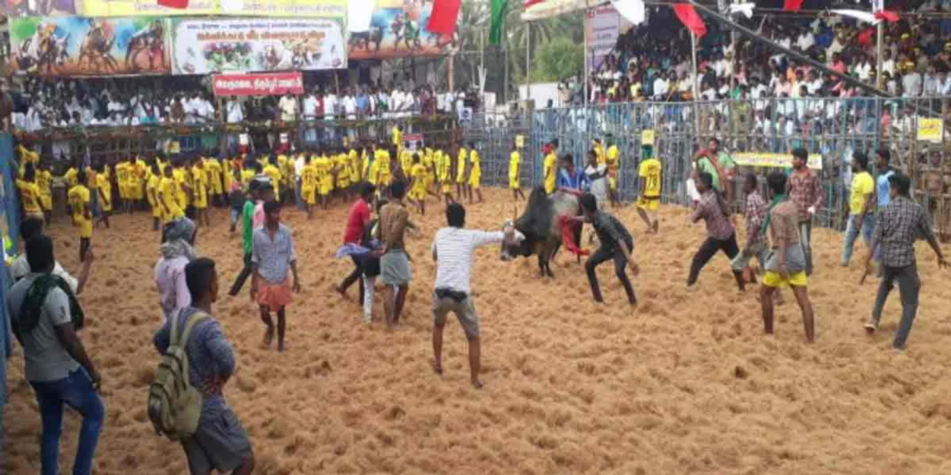  'Jallikattu' started in Alakumalai