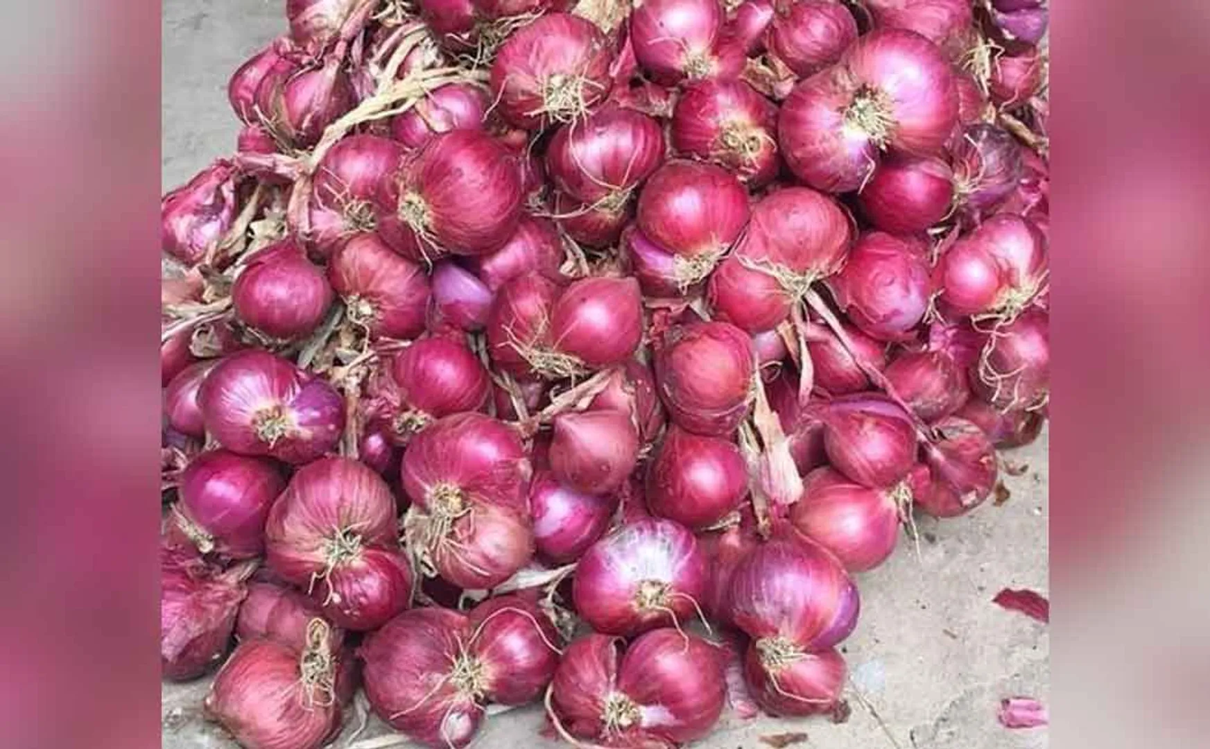 Onion prices go up again . 