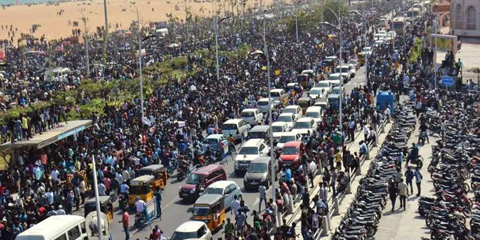 Jallikattu struggle cases survey- Commissioner of Police information