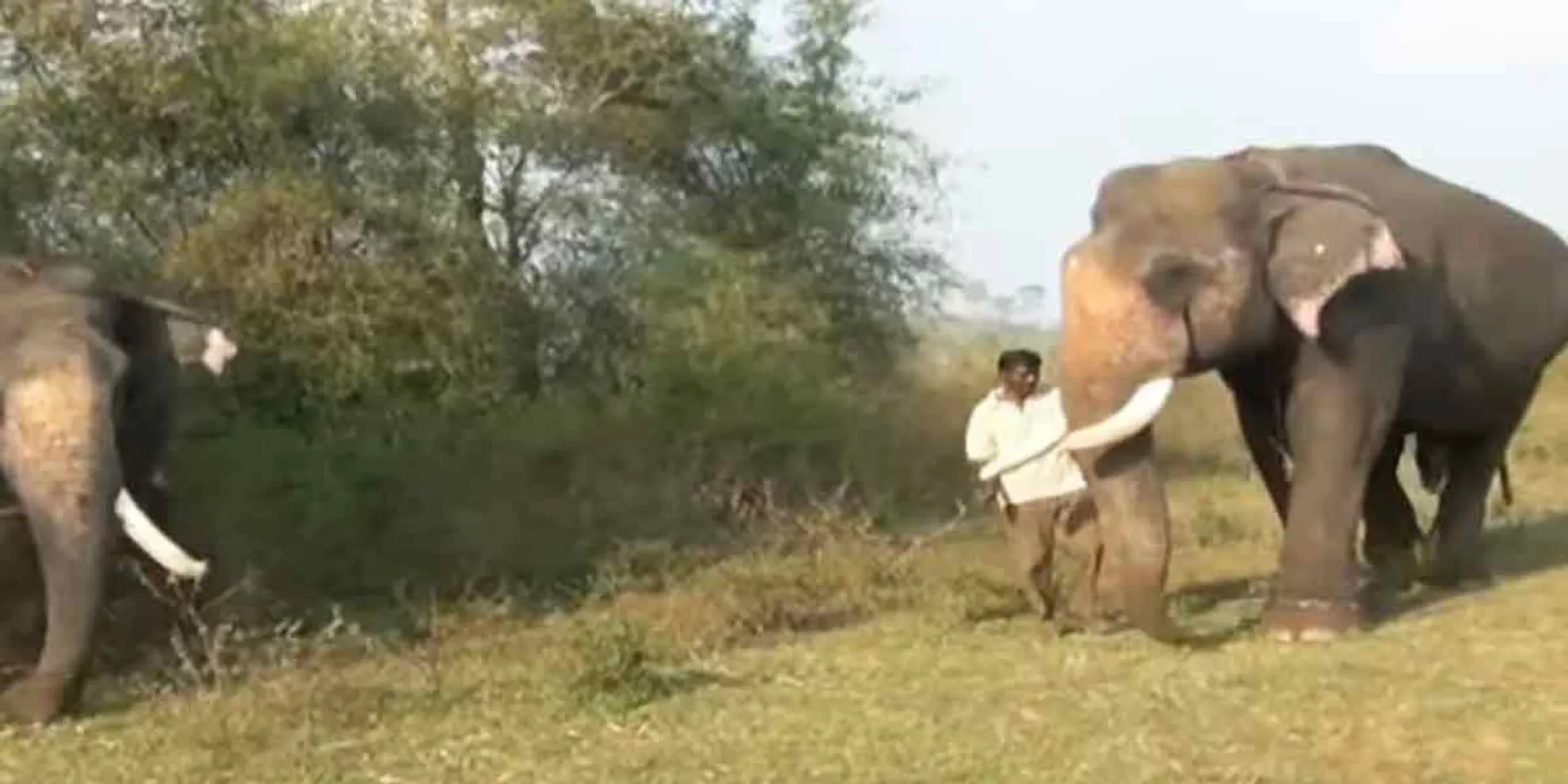 Kumki brother brothers on field!