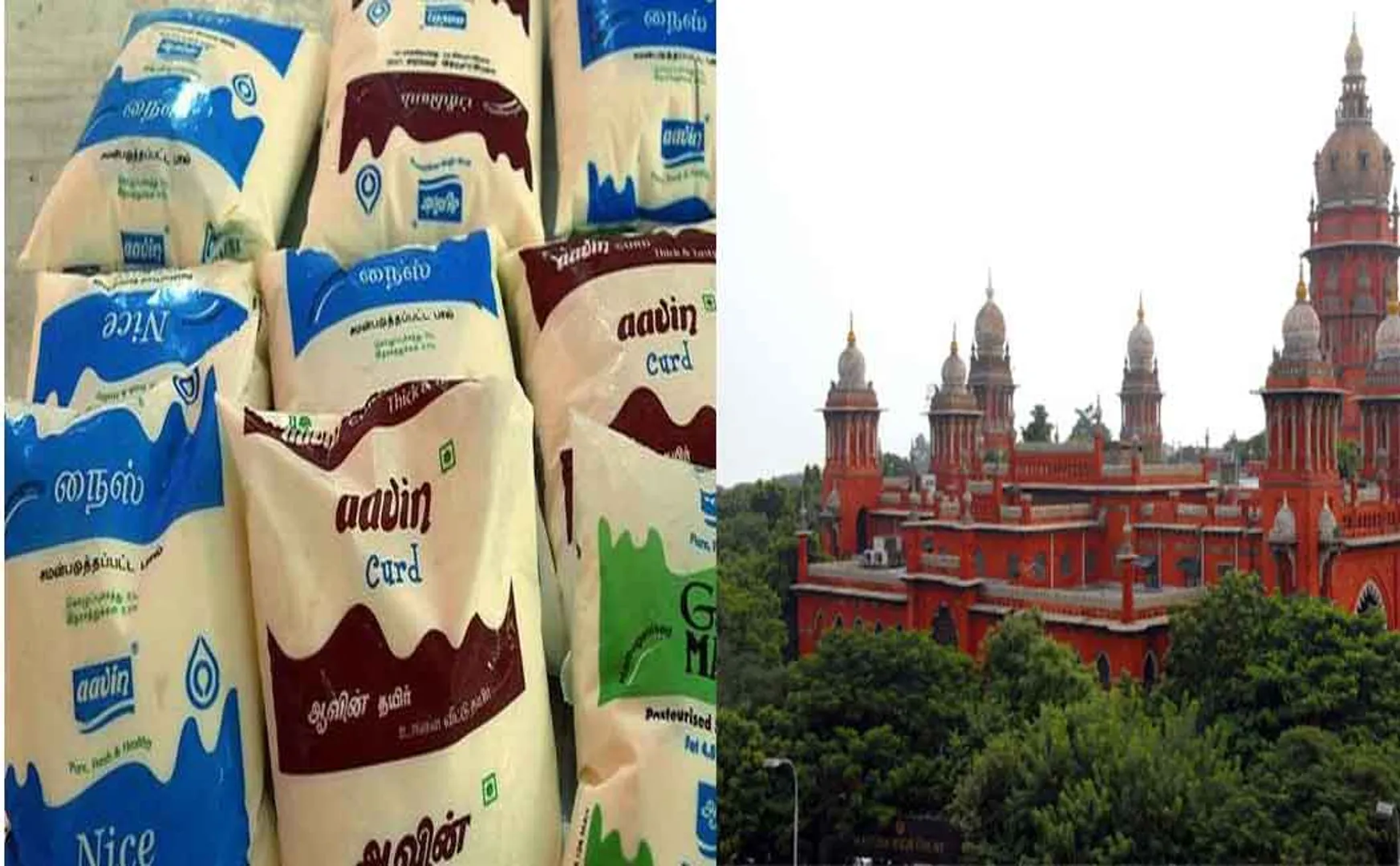 aavin milk tanker lorry tender chennai high court order 