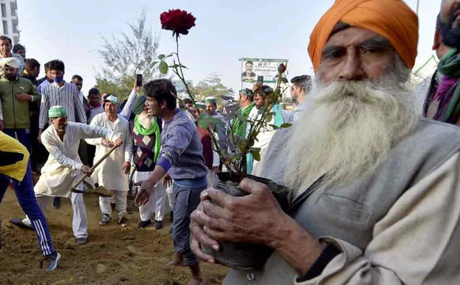 farmer plants flowers near nails fixed by police