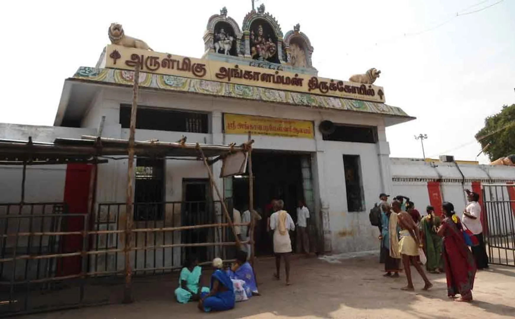 Order to consider and decide on the petition requesting to allow devotees in the swing festival of Melmalayanur Angalamman temple!