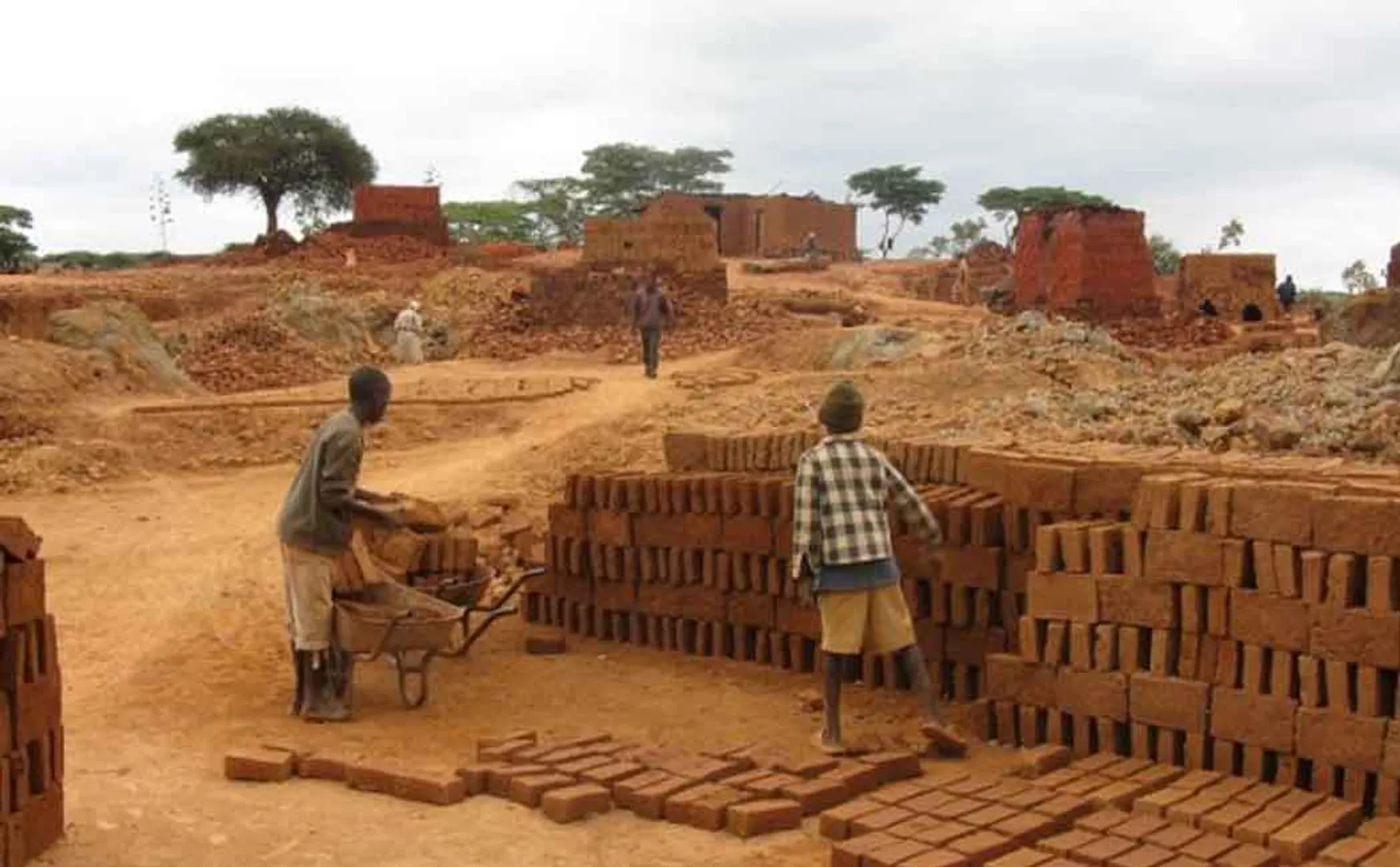 Government of Tamil Nadu ordered to remove brick kilns on elephant route without delay !!