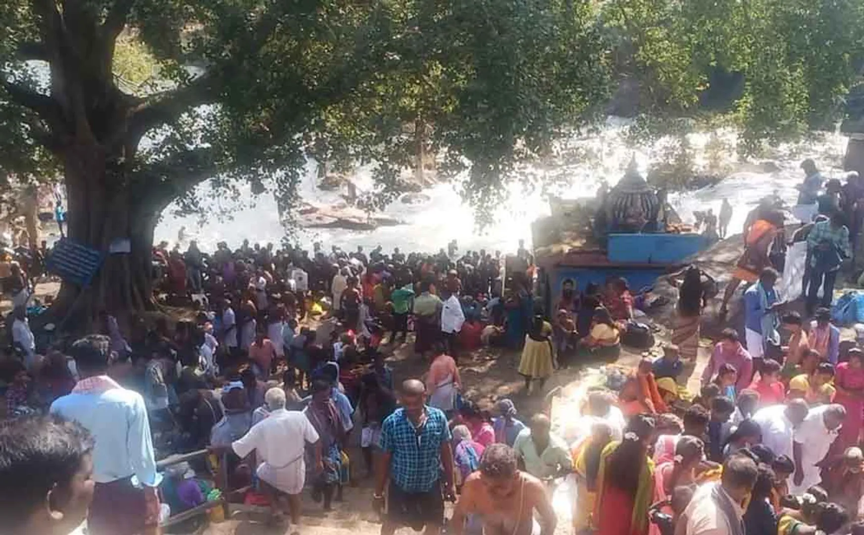 thamirabarani river thai amavasai peoples 