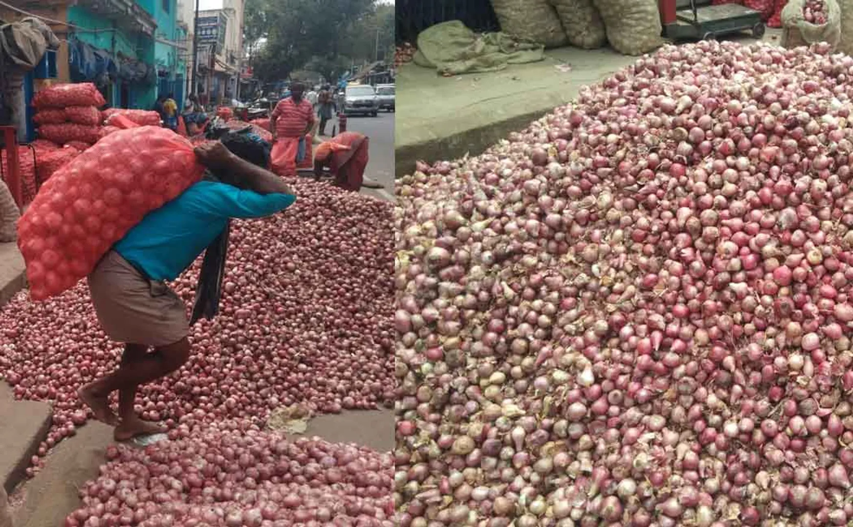 onion price hike due to rain or hoarding