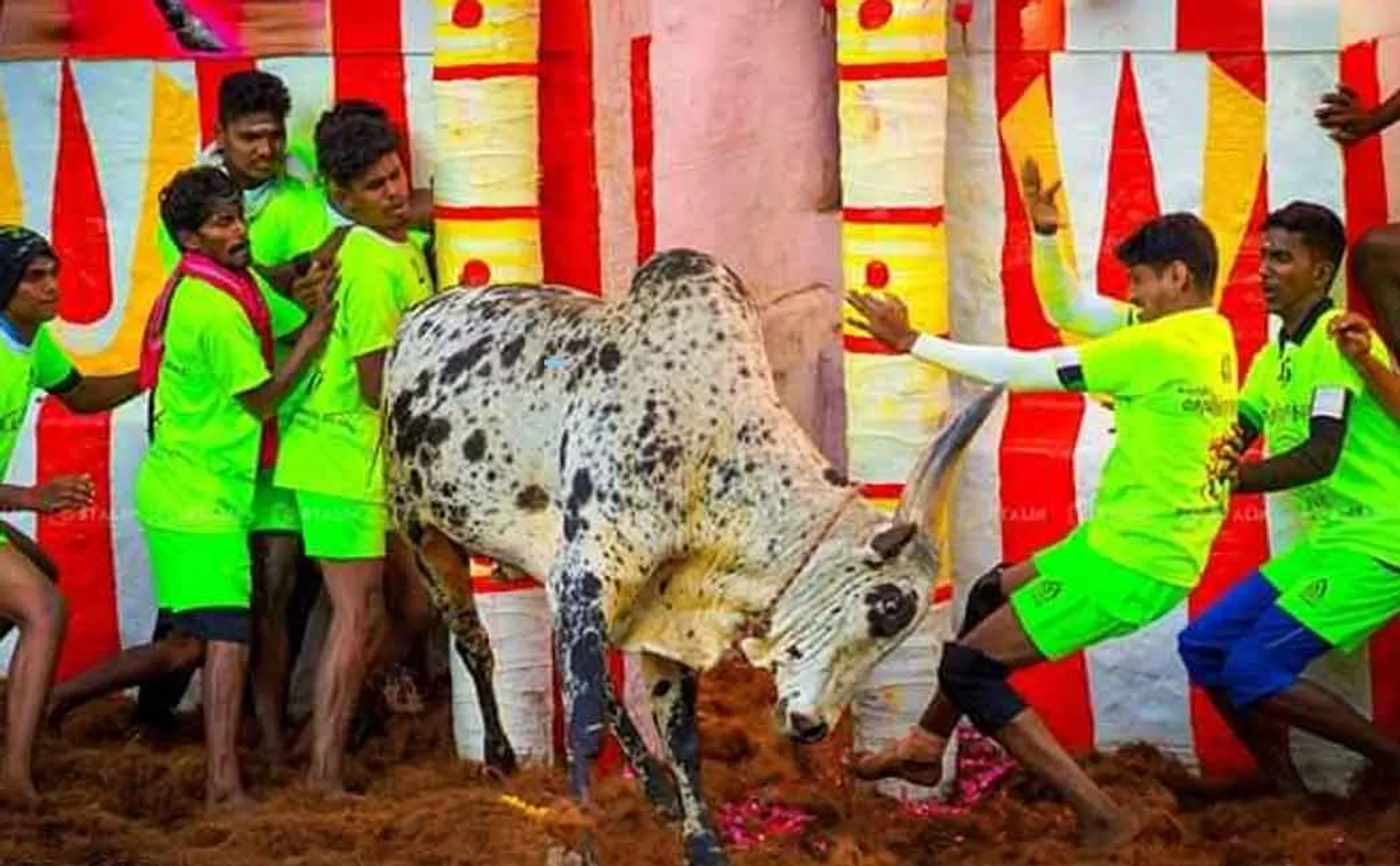 ravanan ox 