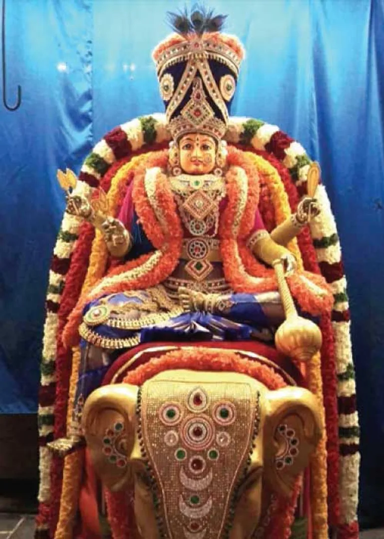 /idhalgal/balajothidam/worship-remedies-cure-brahmahadhi-tosham-r-mahalakshmi