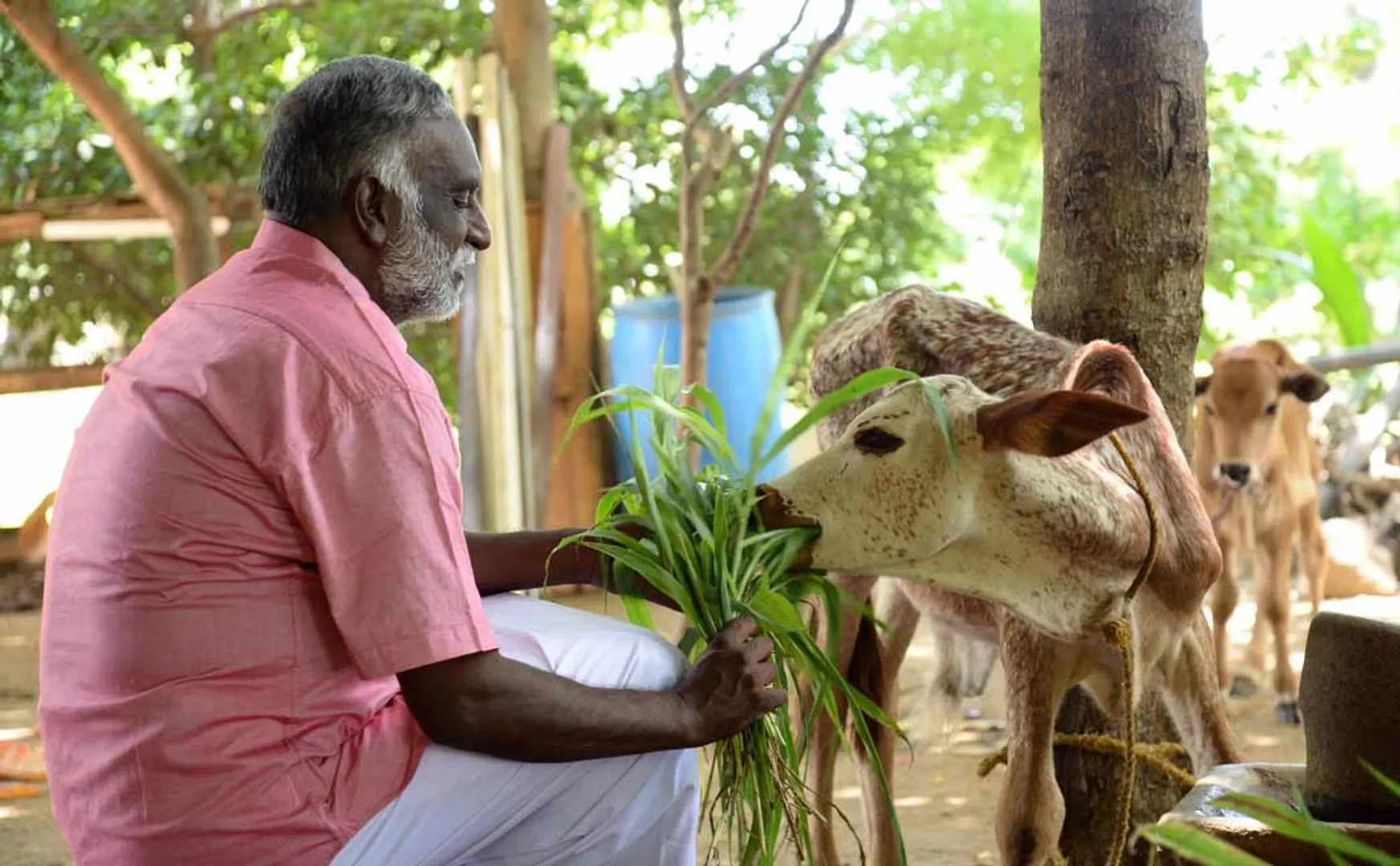 Bava Chelladurai Interview