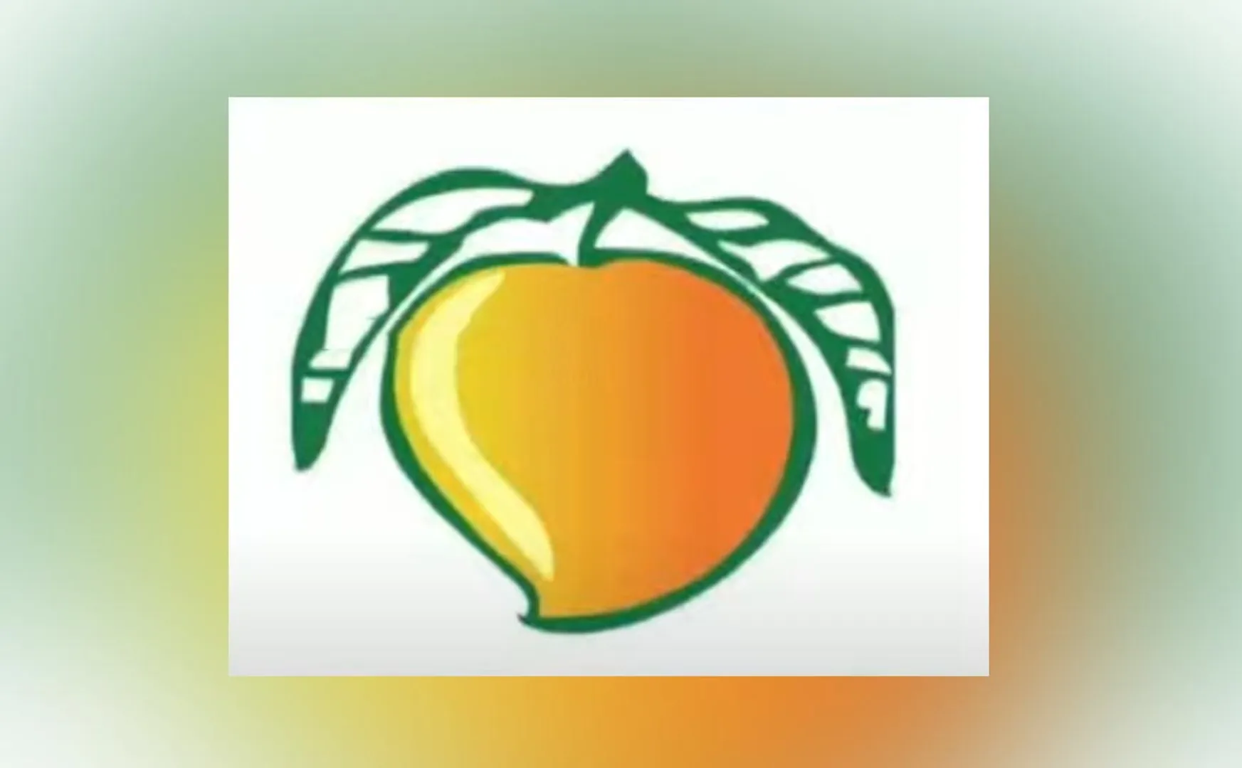 tn assembly election mango symbol pmk party election commission 
