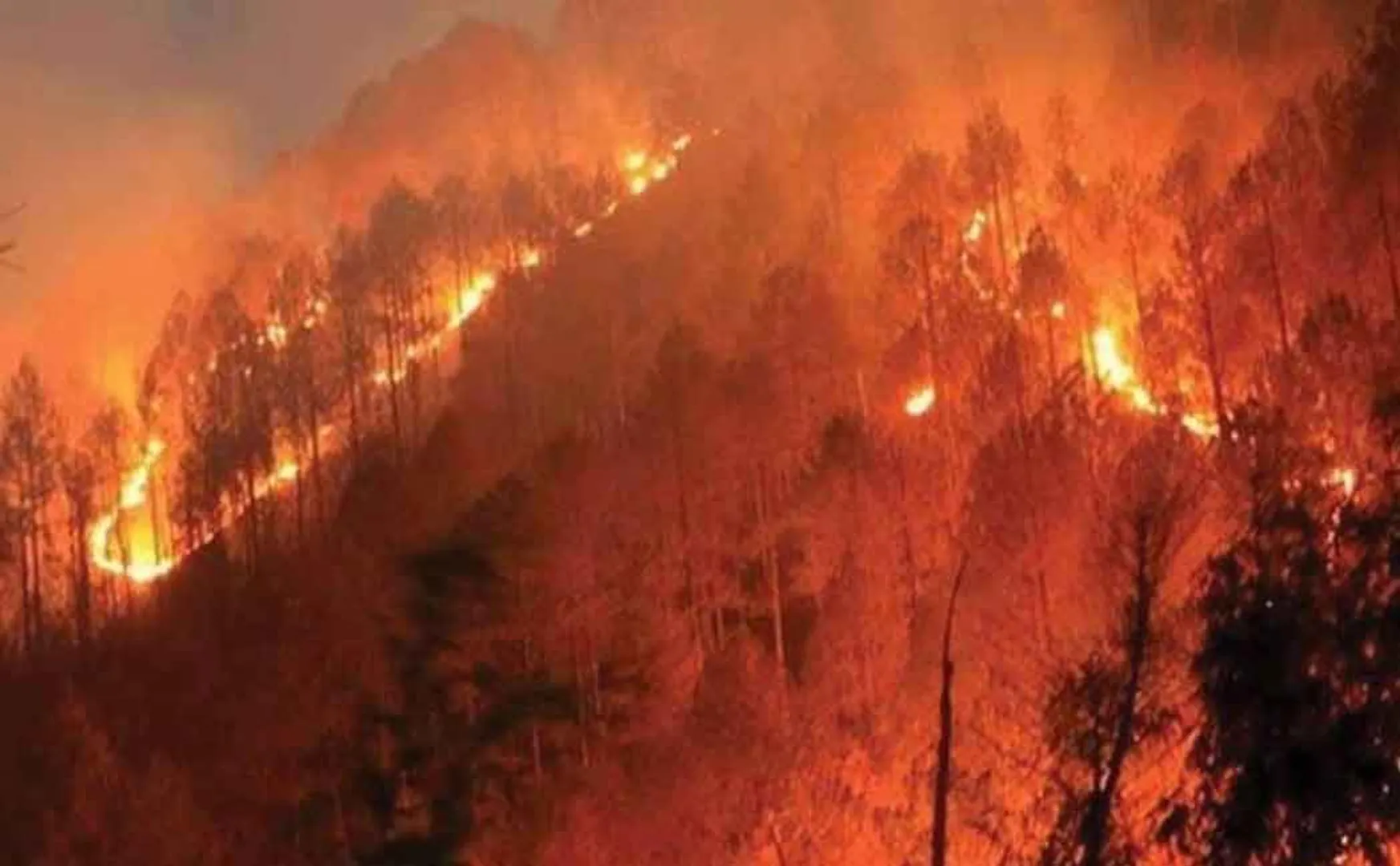 ODISHA FOREST FIRE 