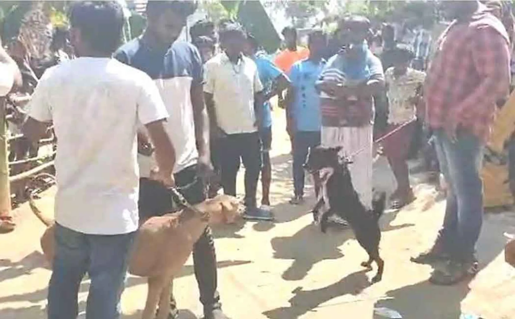 Youths who held a bizarre contest condemning the authorities 