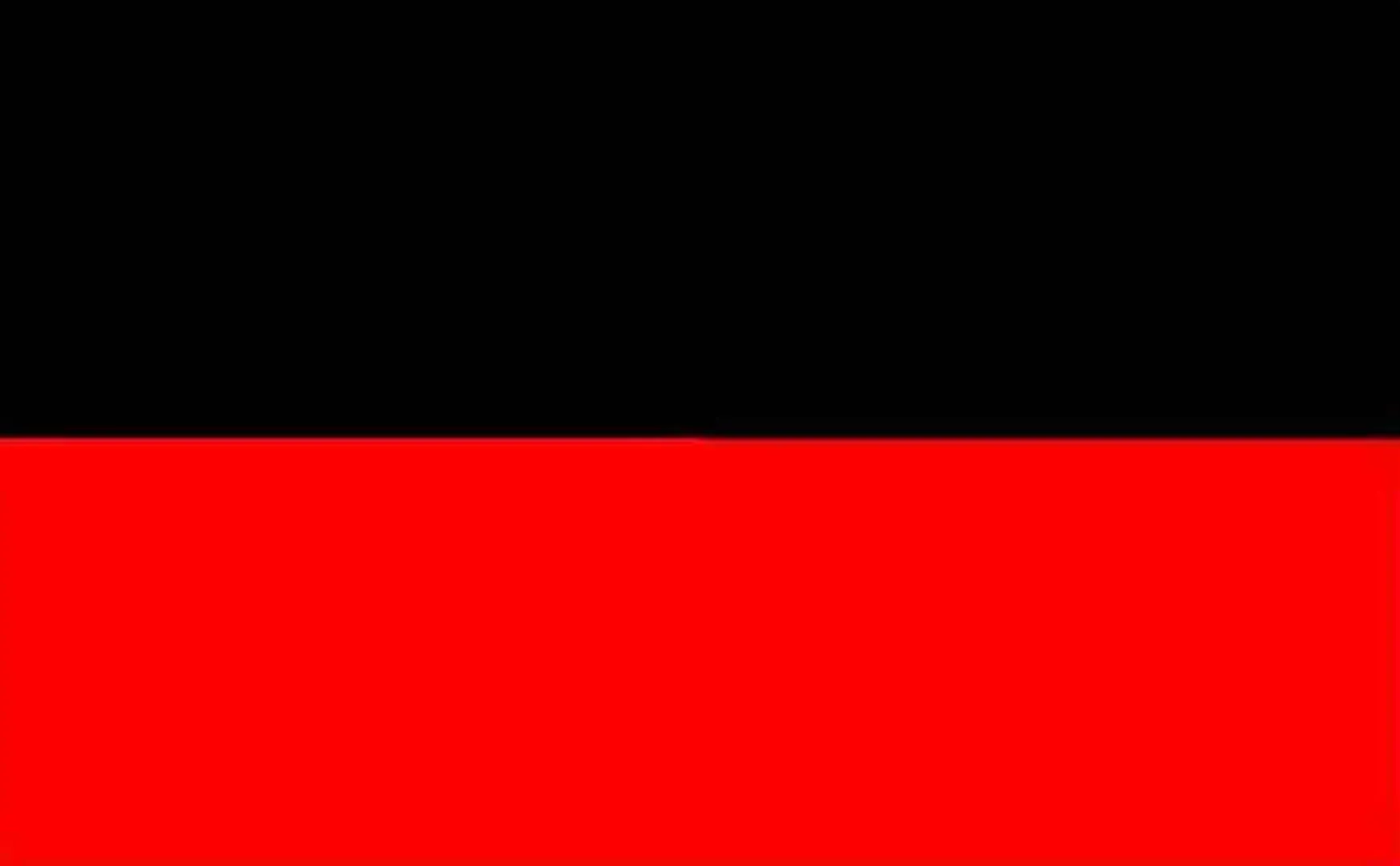 13 organizations express support for DMK 