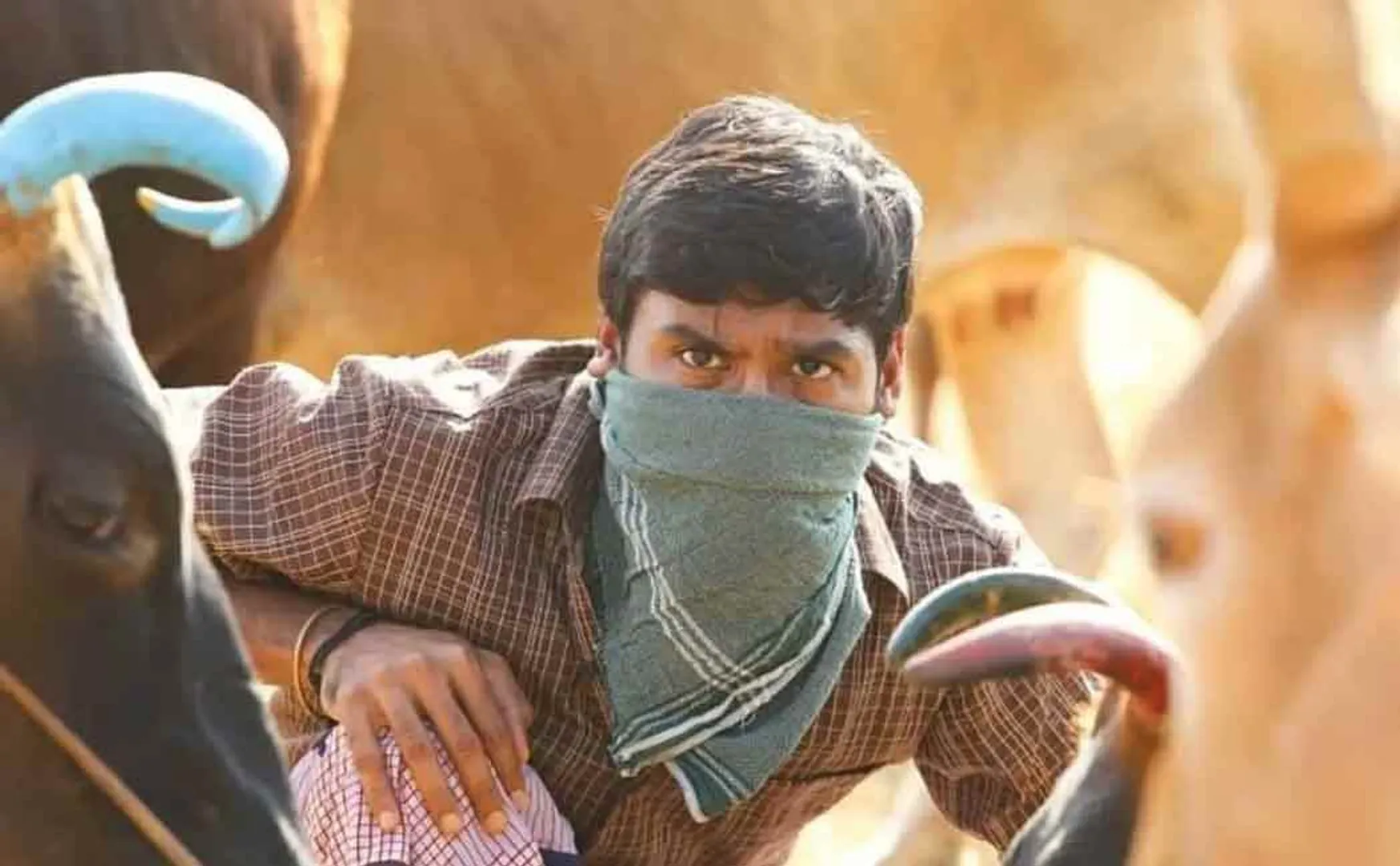 dhanush