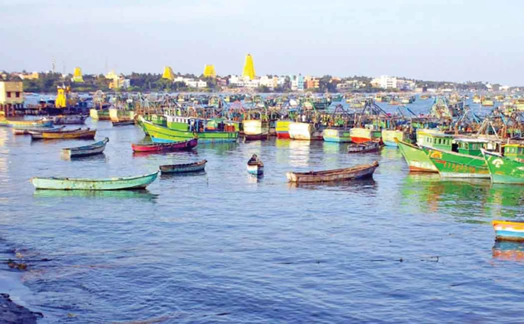 fishermans sri lanka government released 