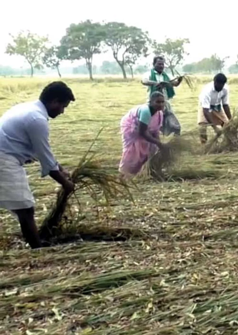 farmers