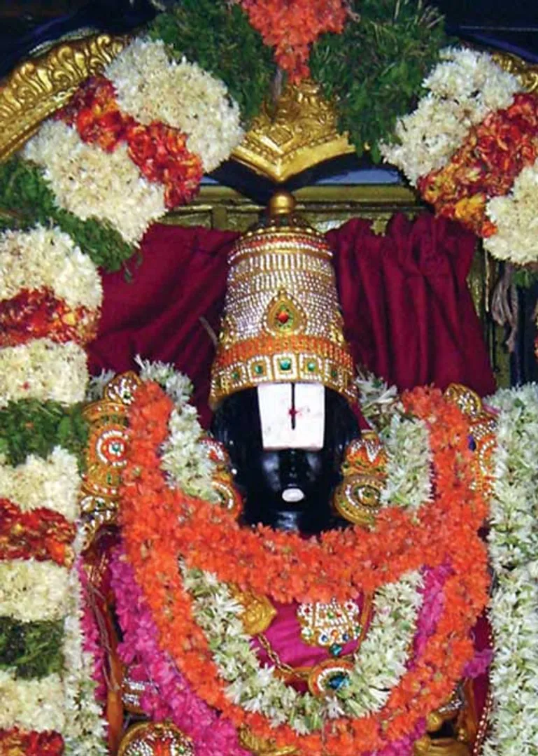 /idhalgal/balajothidam/ekadasi-fasts-give-rise-arutachemmal-arun-radhakrishnan