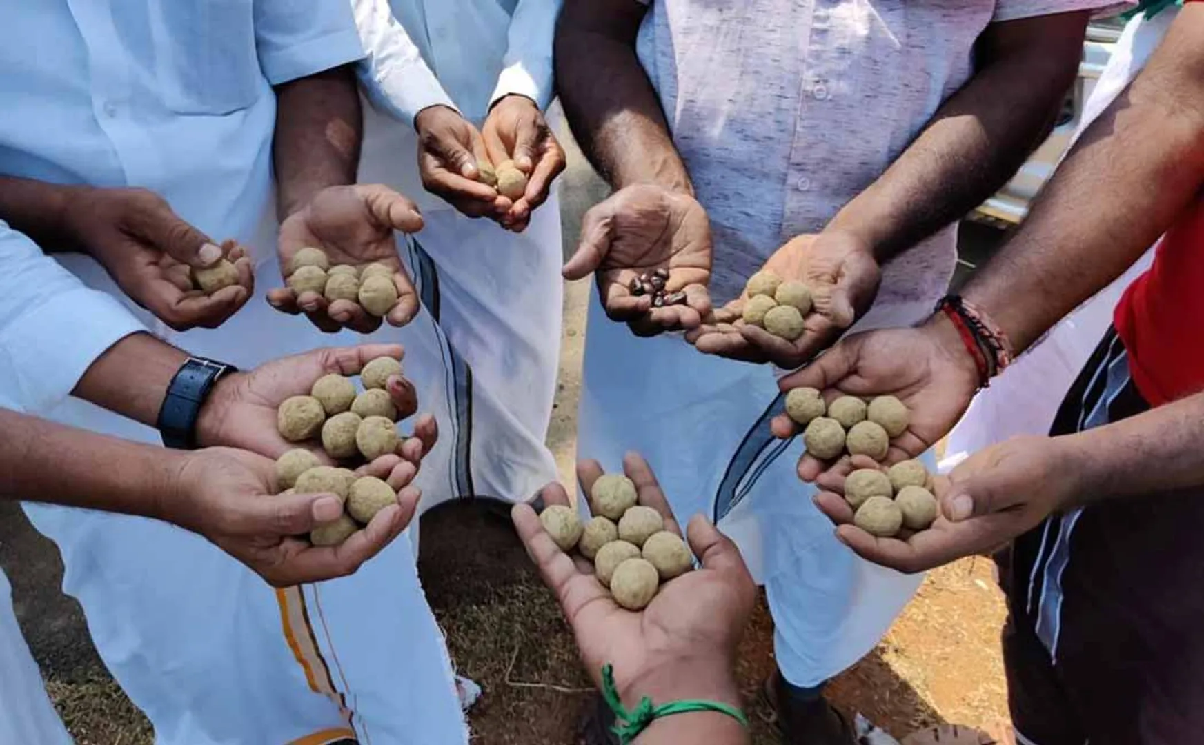 thanjavur district seeds balls spreaded 