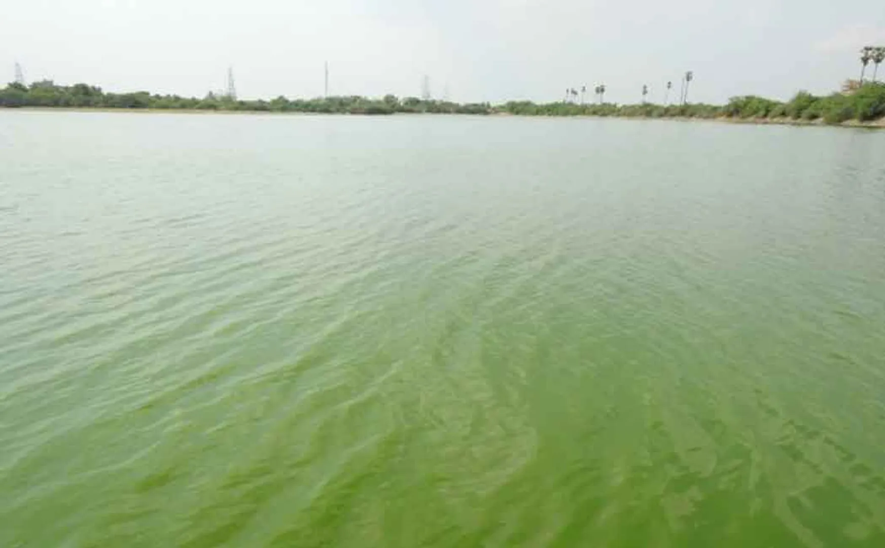 2 children drowned in pool, 4 children rescued