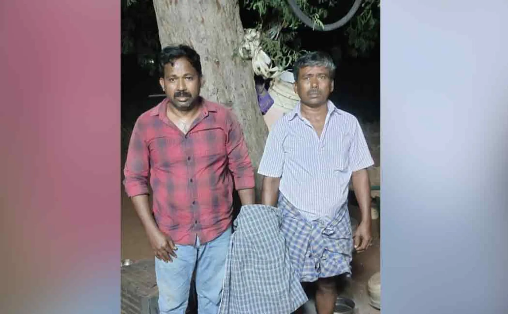 Cannabis oil caught at tuticorin