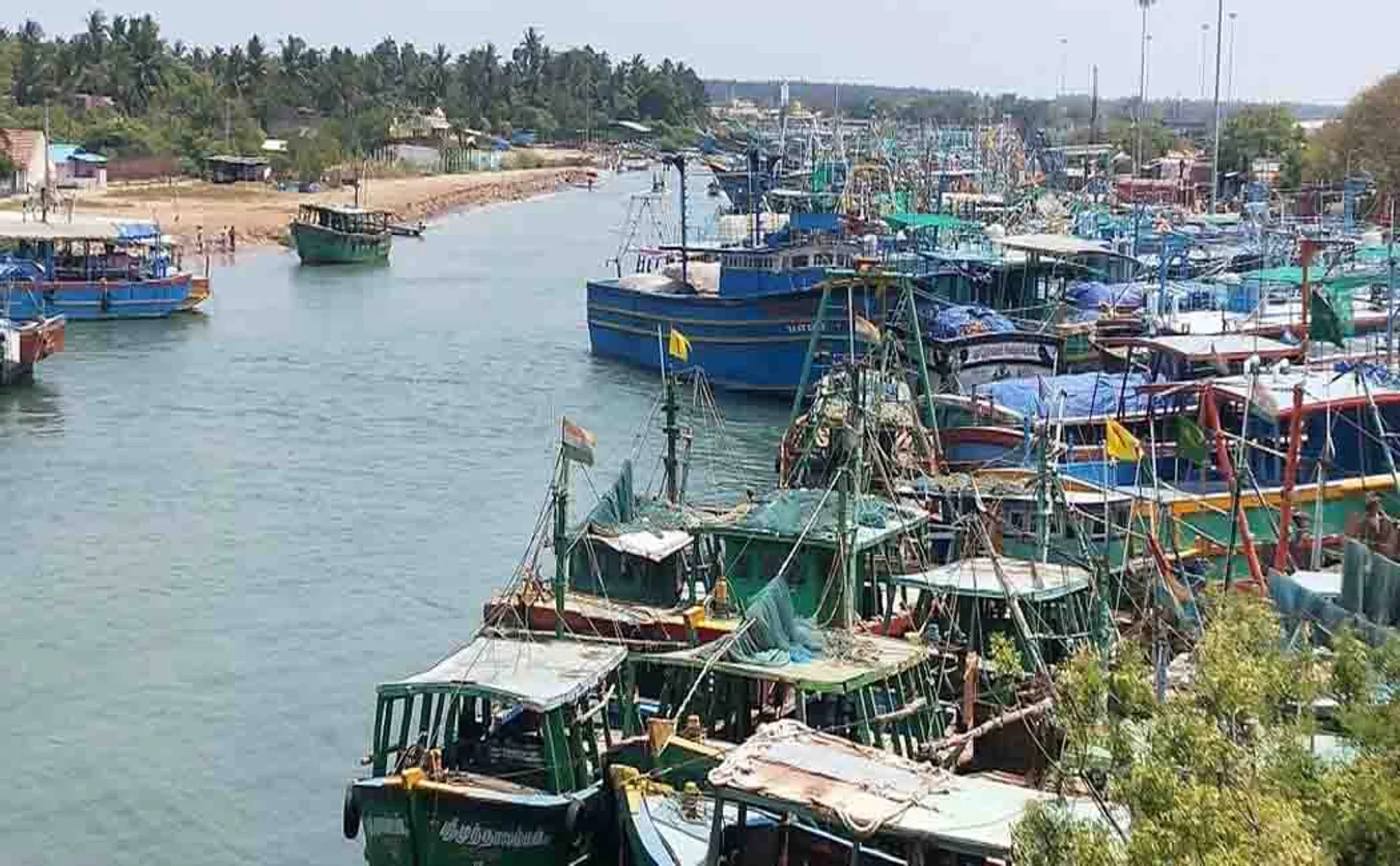 Fishing ban! Fish prices likely to rise 