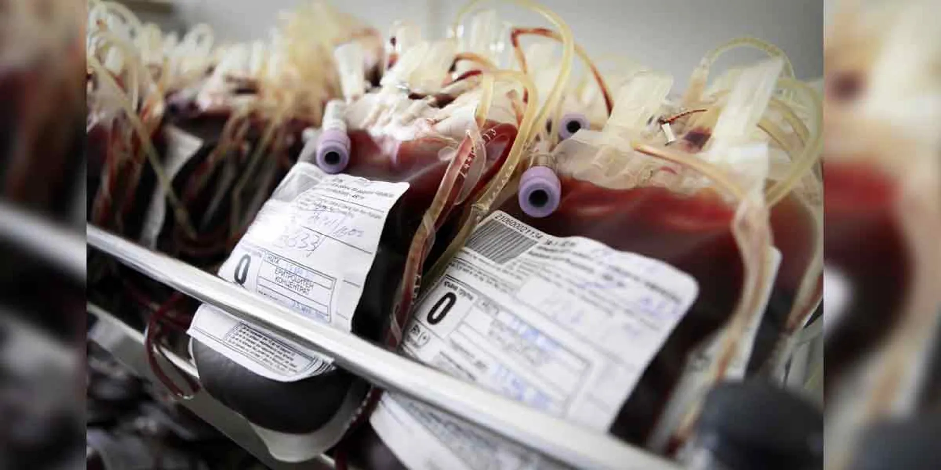  'Blood 5 times more expensive' - Anarchy shown by blood banks!