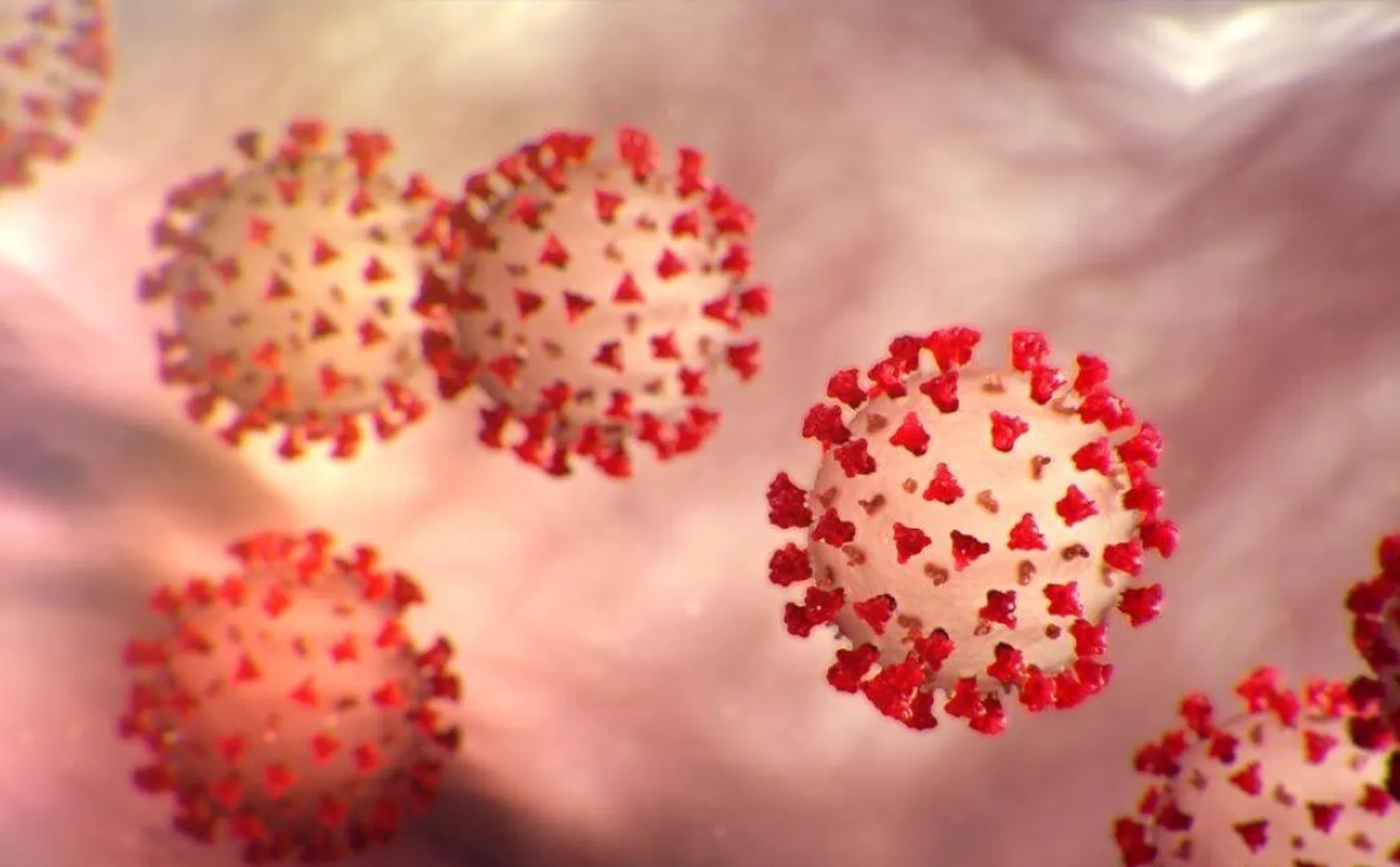 admk candidate coronavirus positive admitted hospital 