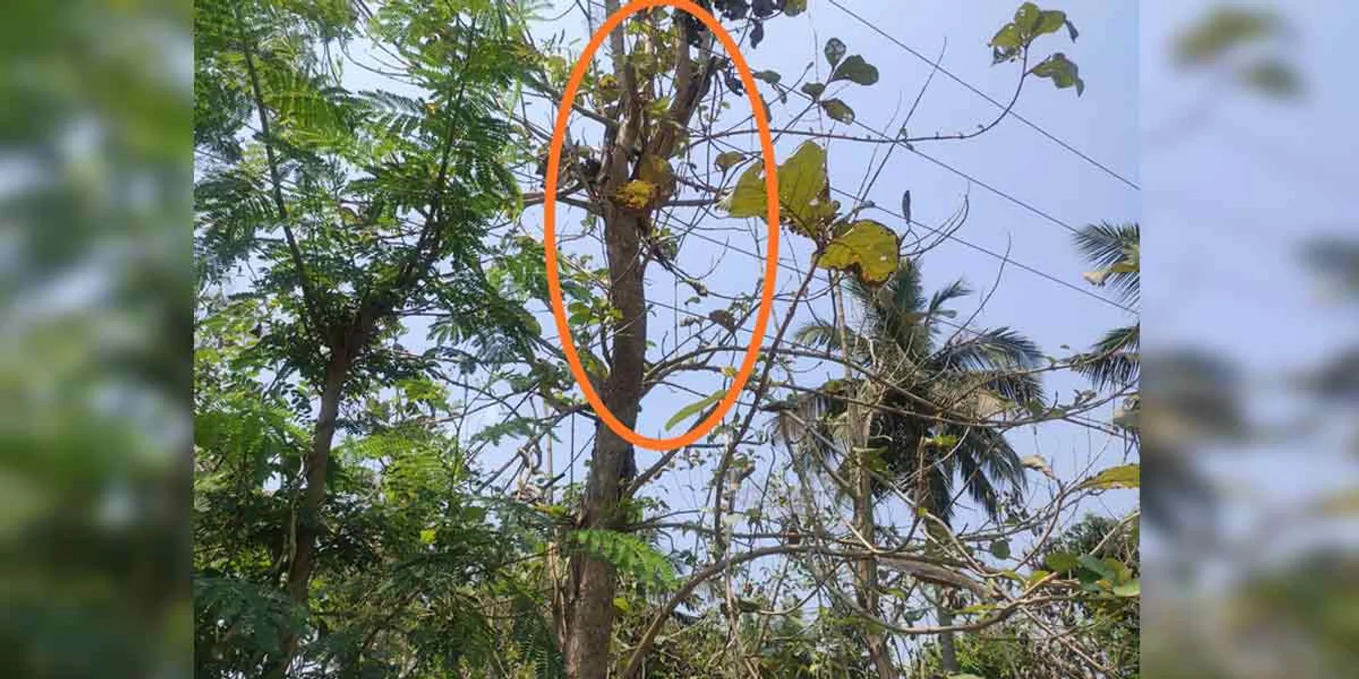 electricity negligence ...