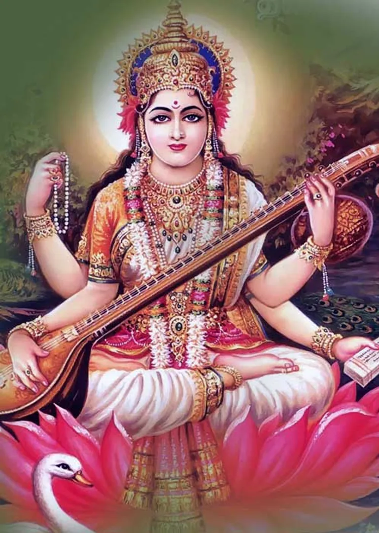 /idhalgal/balajothidam/which-education-will-bring-success-whom-siddhardasan-sundarji-jeevanadi-0