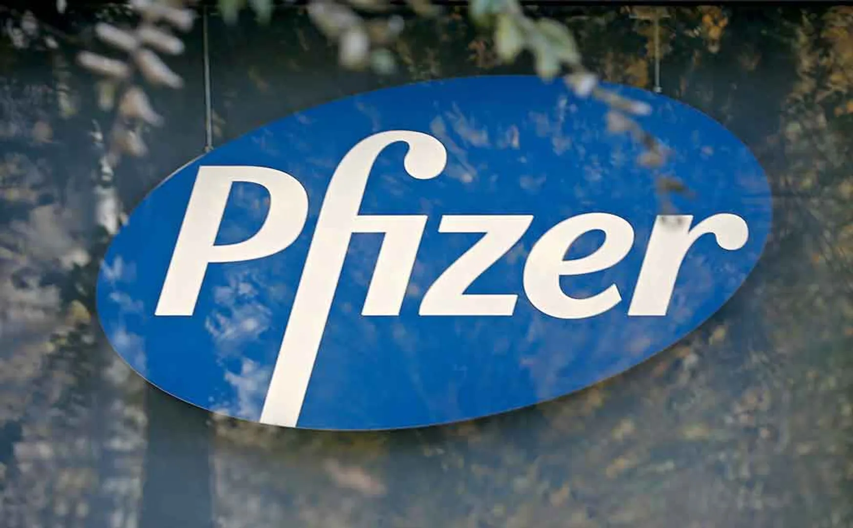 pfizer 