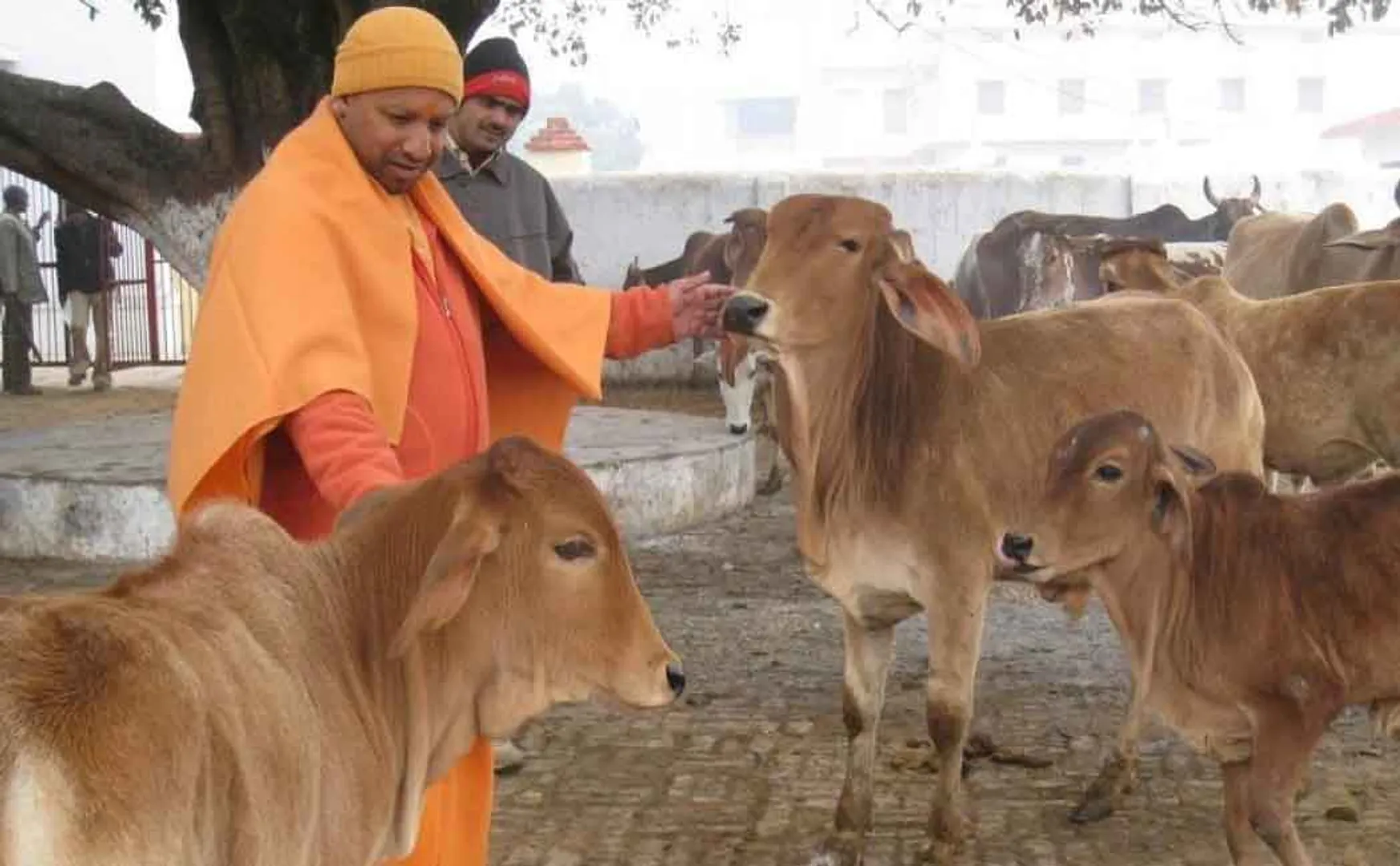 UP CM YOGI 