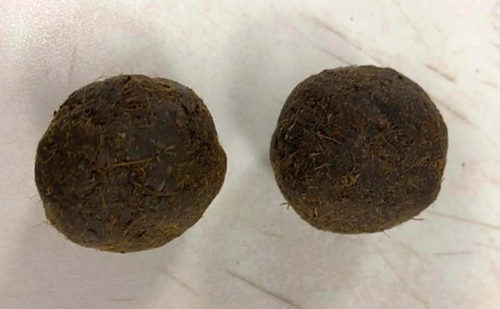 cow dung 