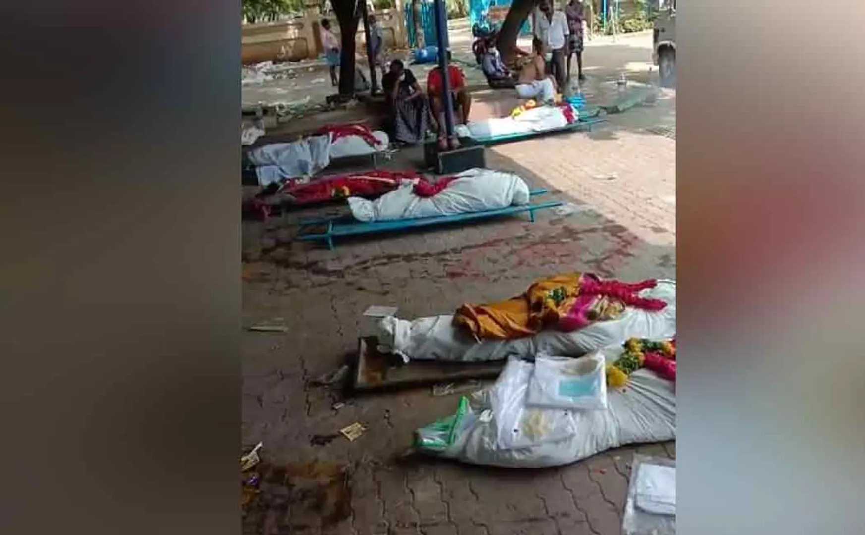 Bodies lined up at Madurai Electric Cemetery ..! What is the domain status?