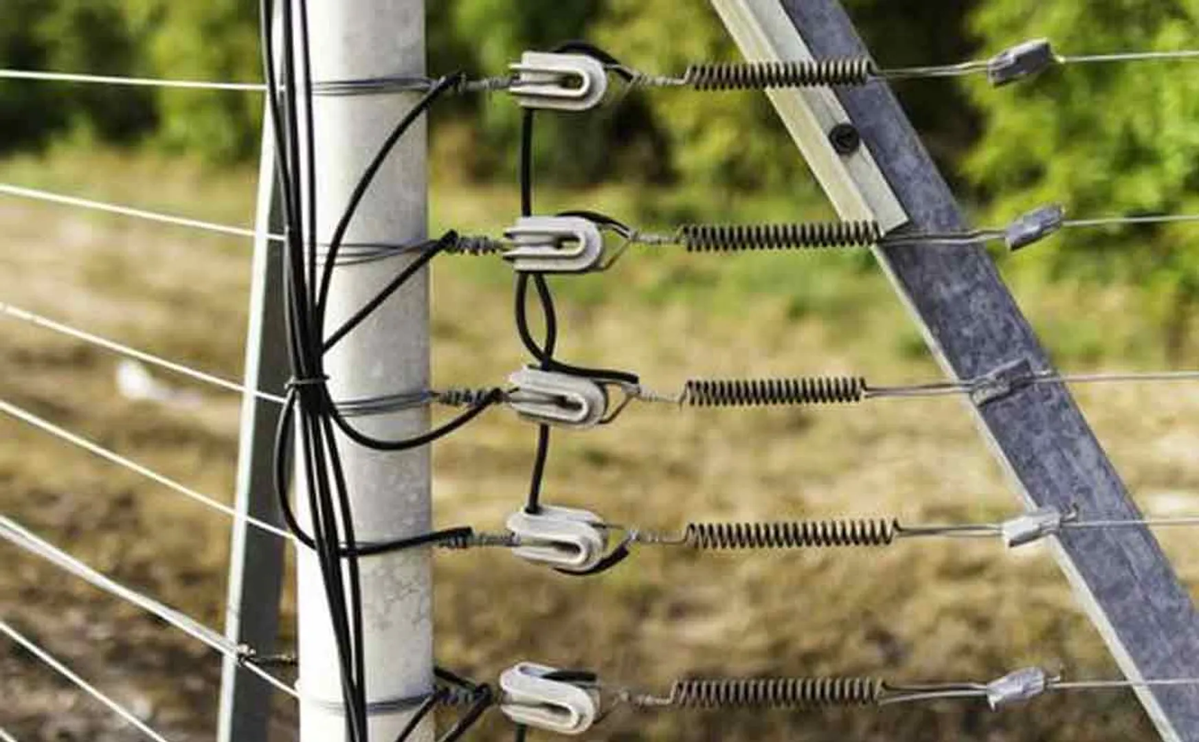 Worker trapped in electric fence passes away 