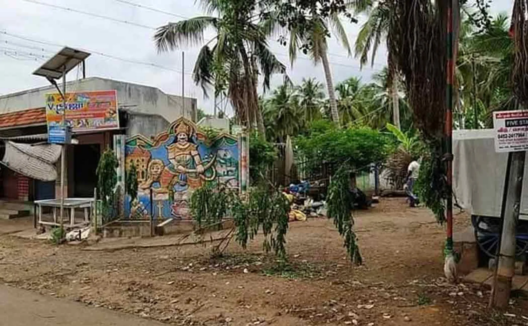 sivagangai village people Mistletoe in village entrance  