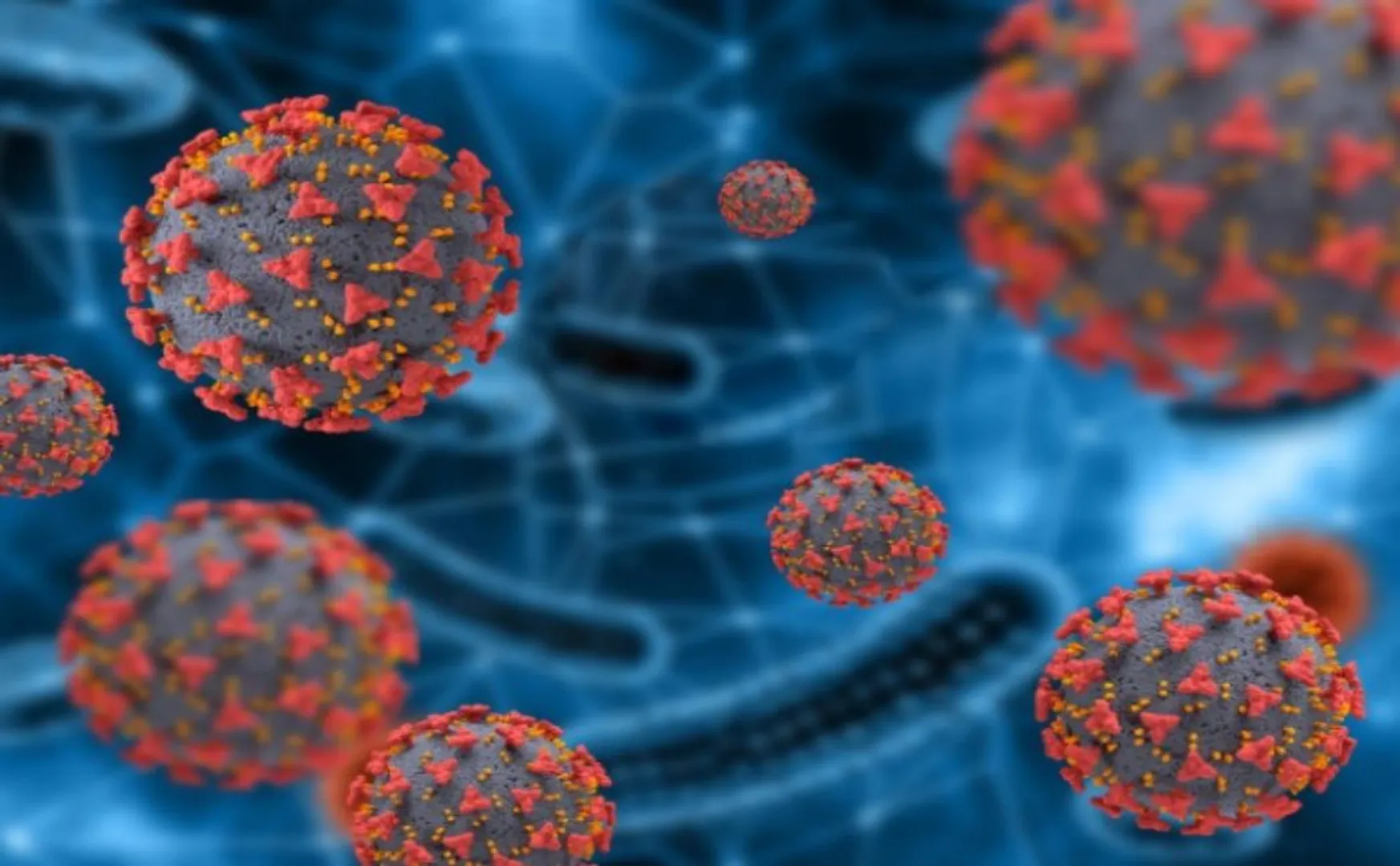 mucormycosis prevention peoples what to do?
