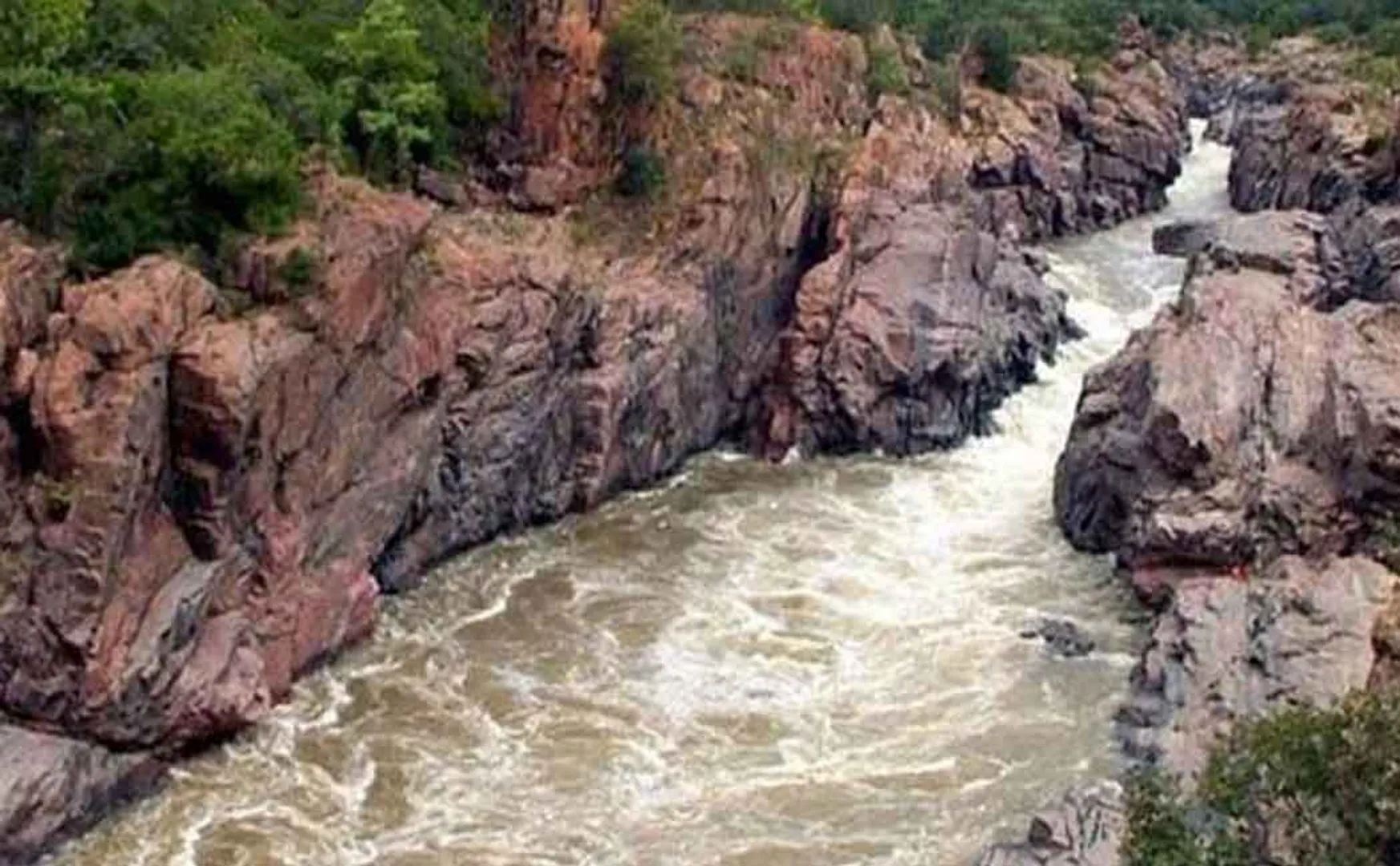 Tamil Nadu government should take immediate action on three demands- Cauvery Rights Redemption Committee demand