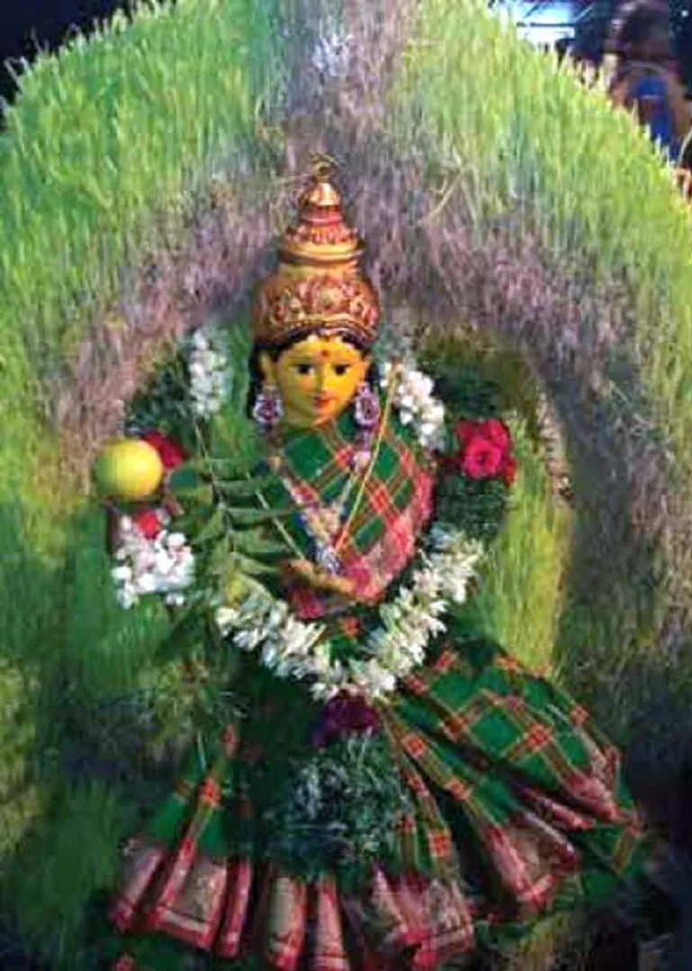 /idhalgal/balajothidam/herbal-secret-siddhartha-kills-72-types-viruses
